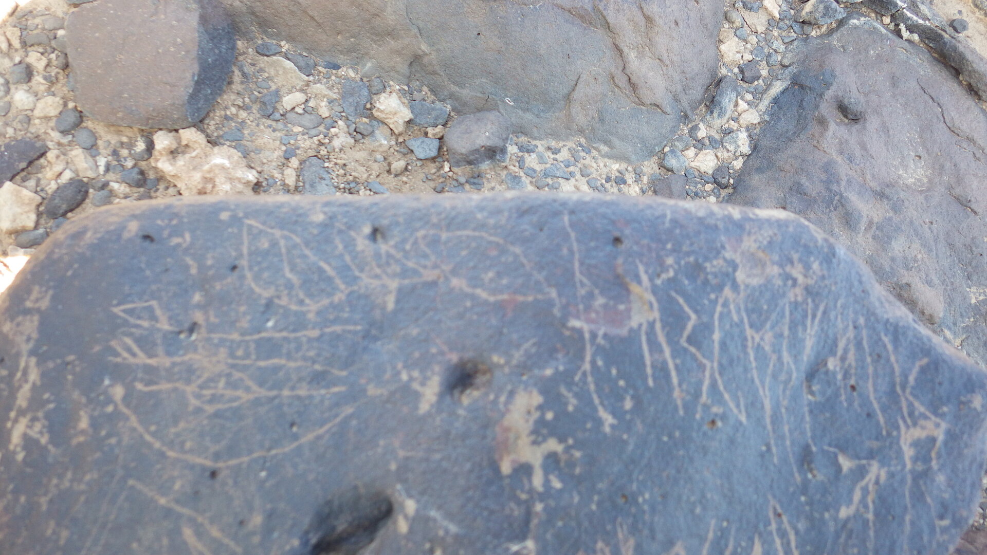 Image of siglum BES20 1246