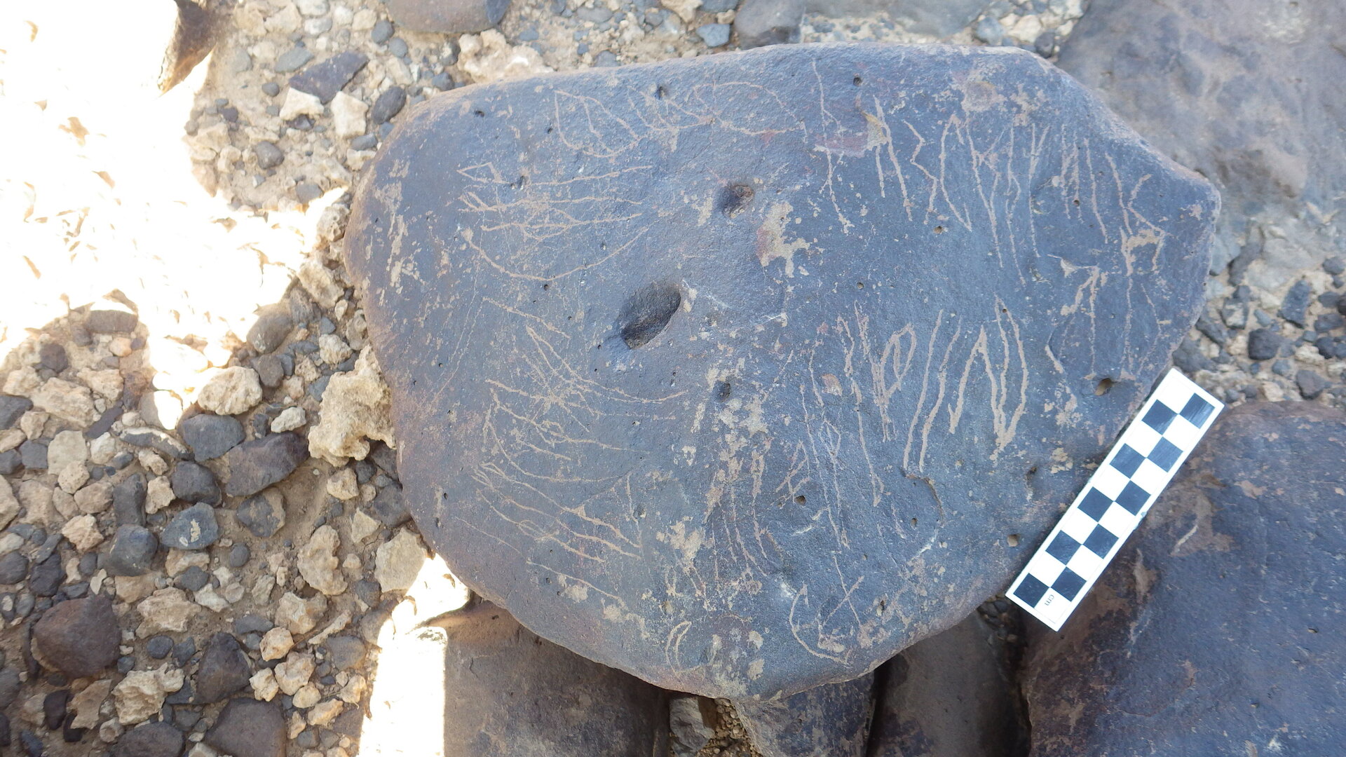 Image of siglum BES20 1246
