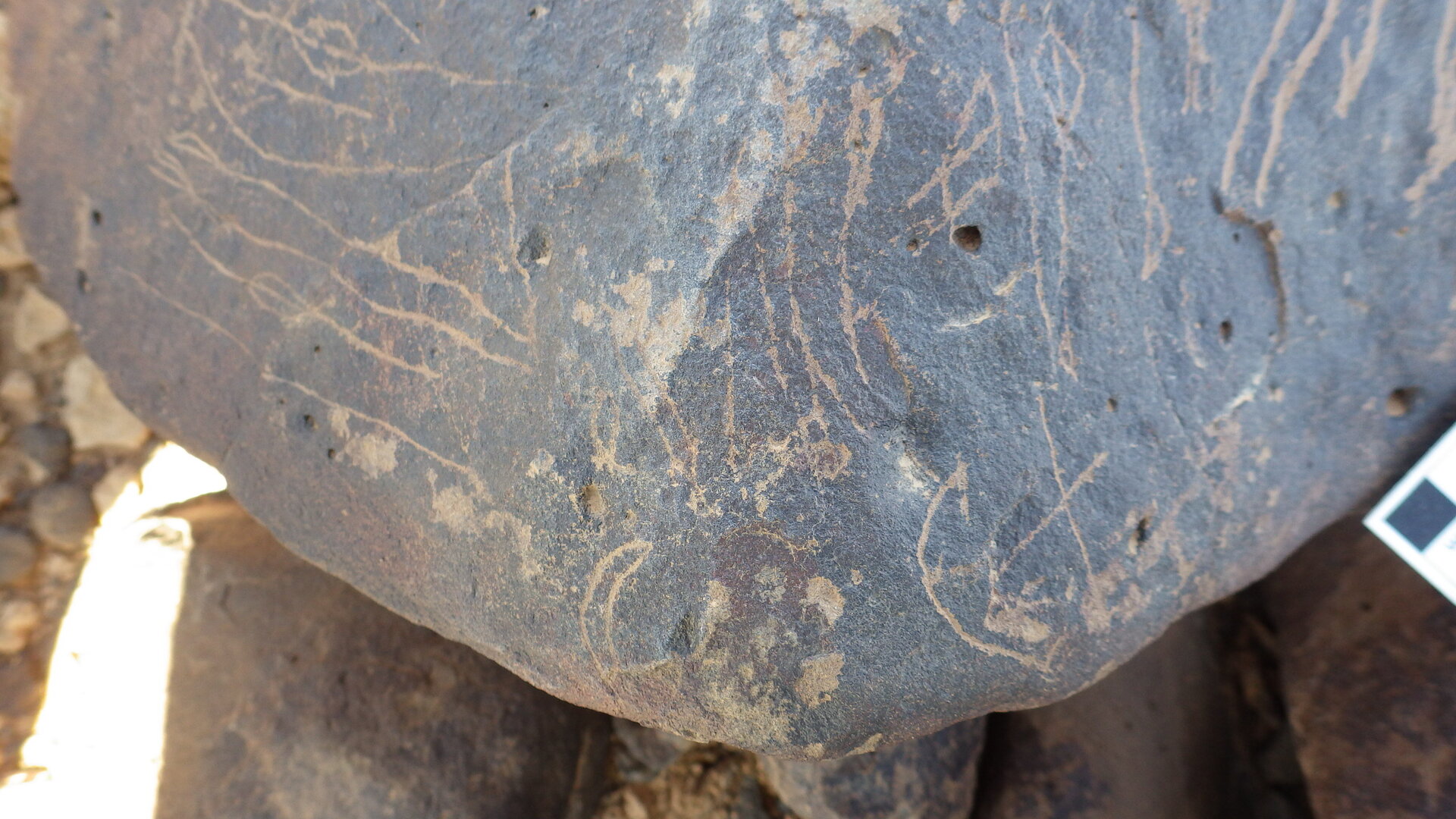 Image of siglum BES20 1246