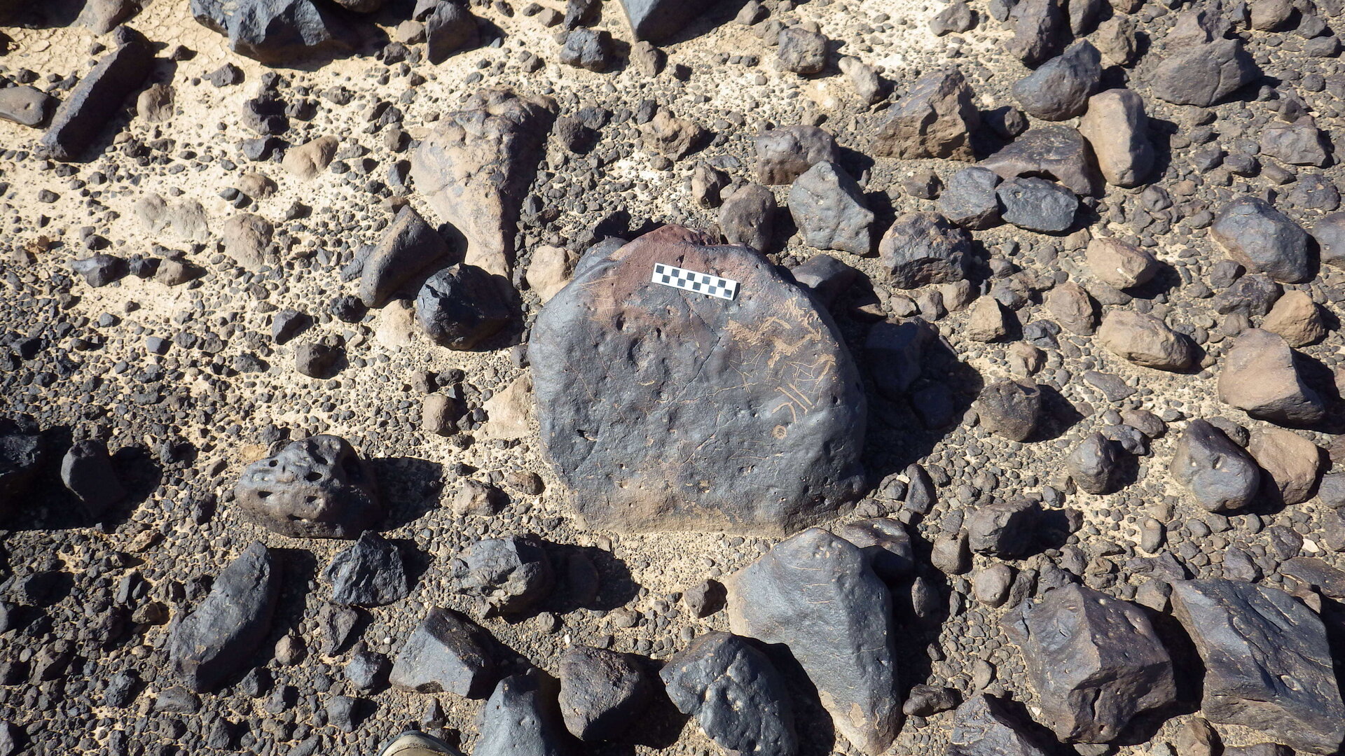 Image of siglum BES20 1246