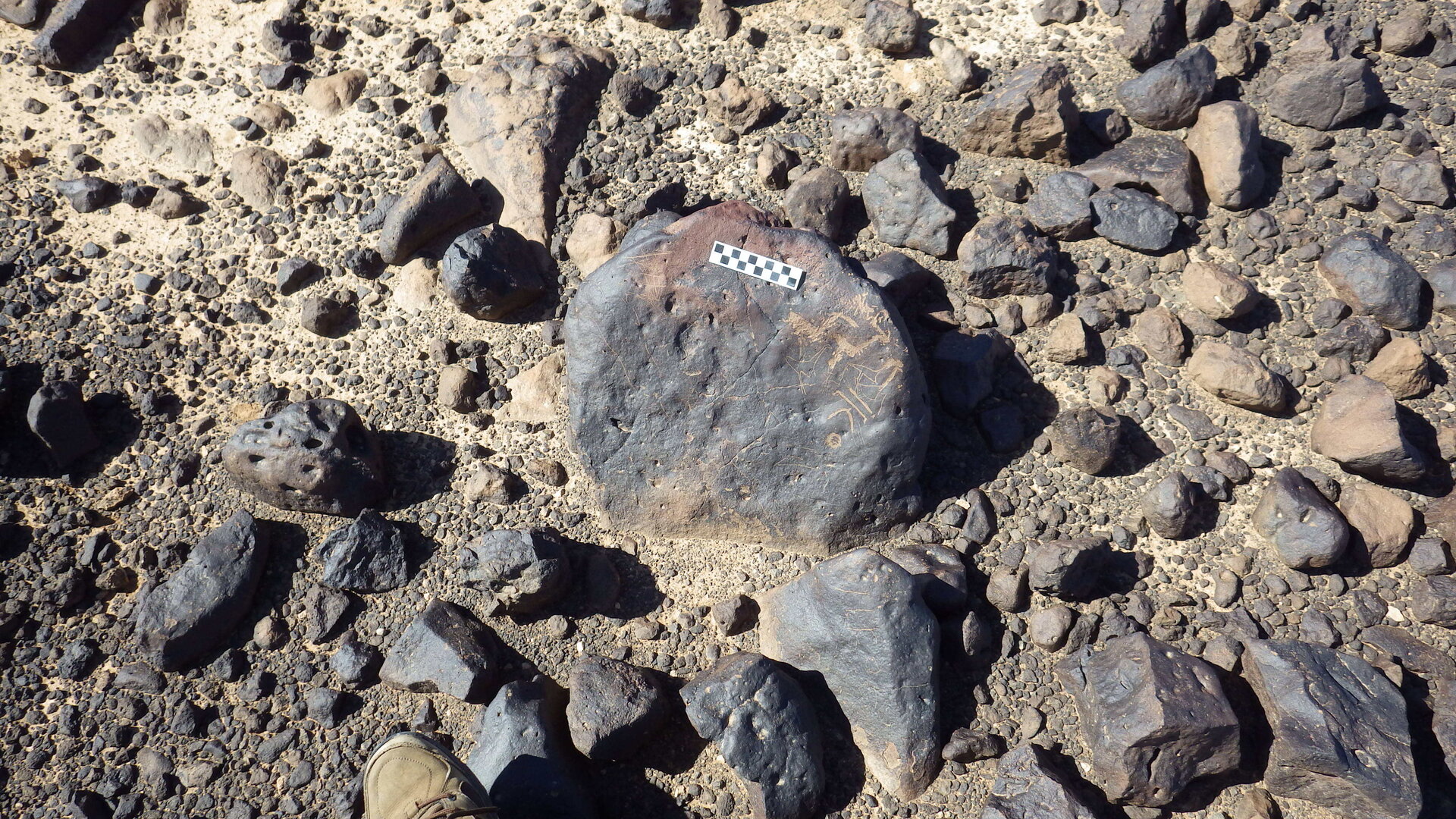 Image of siglum BES20 1246