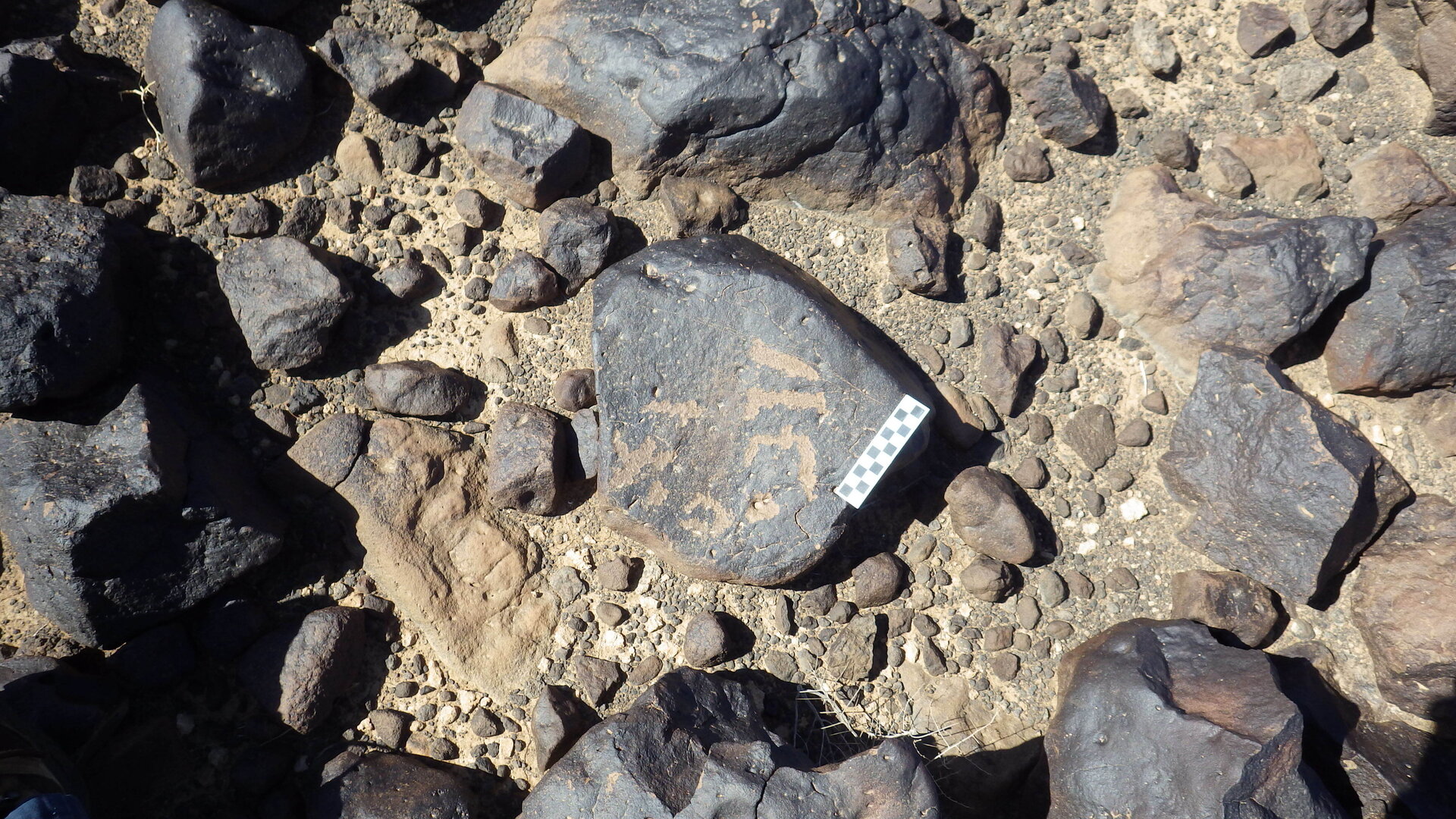 Image of siglum BES20 1246