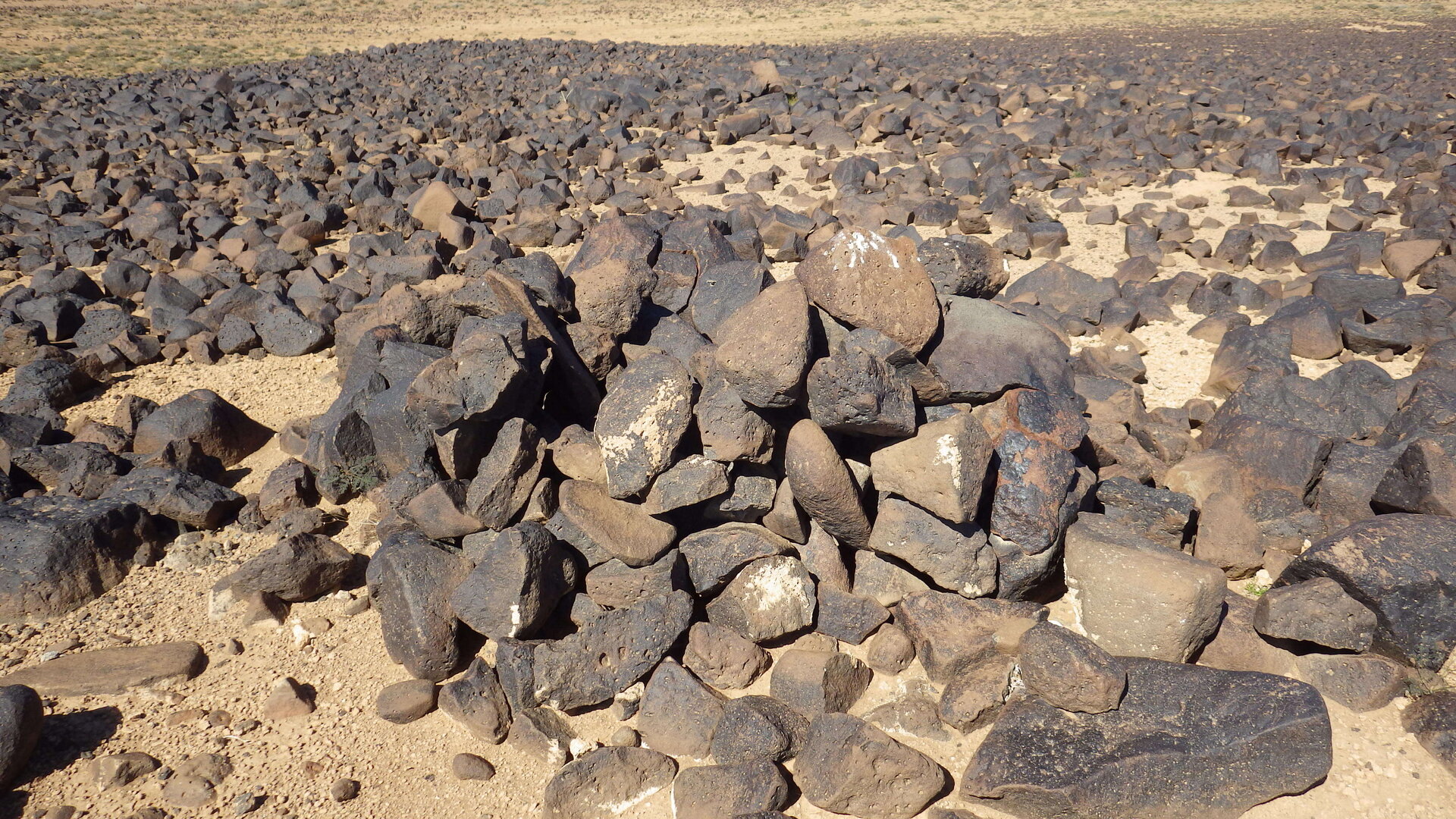 Image of siglum BES20 1246