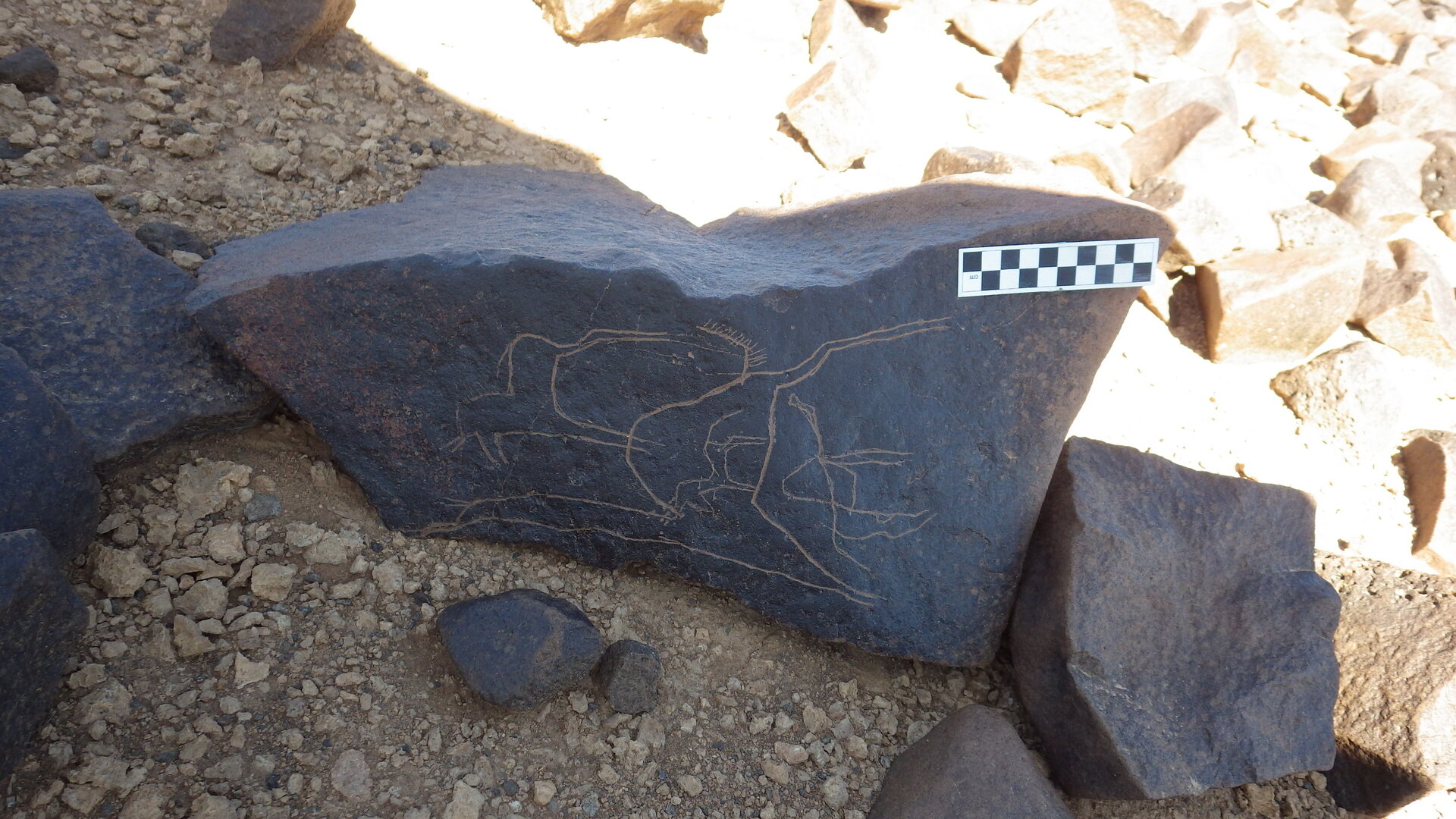 Image of siglum BES20 1246
