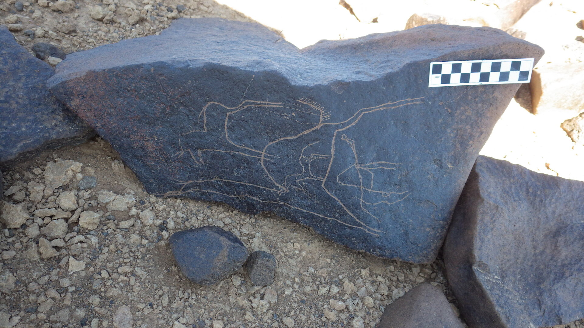 Image of siglum BES20 1246