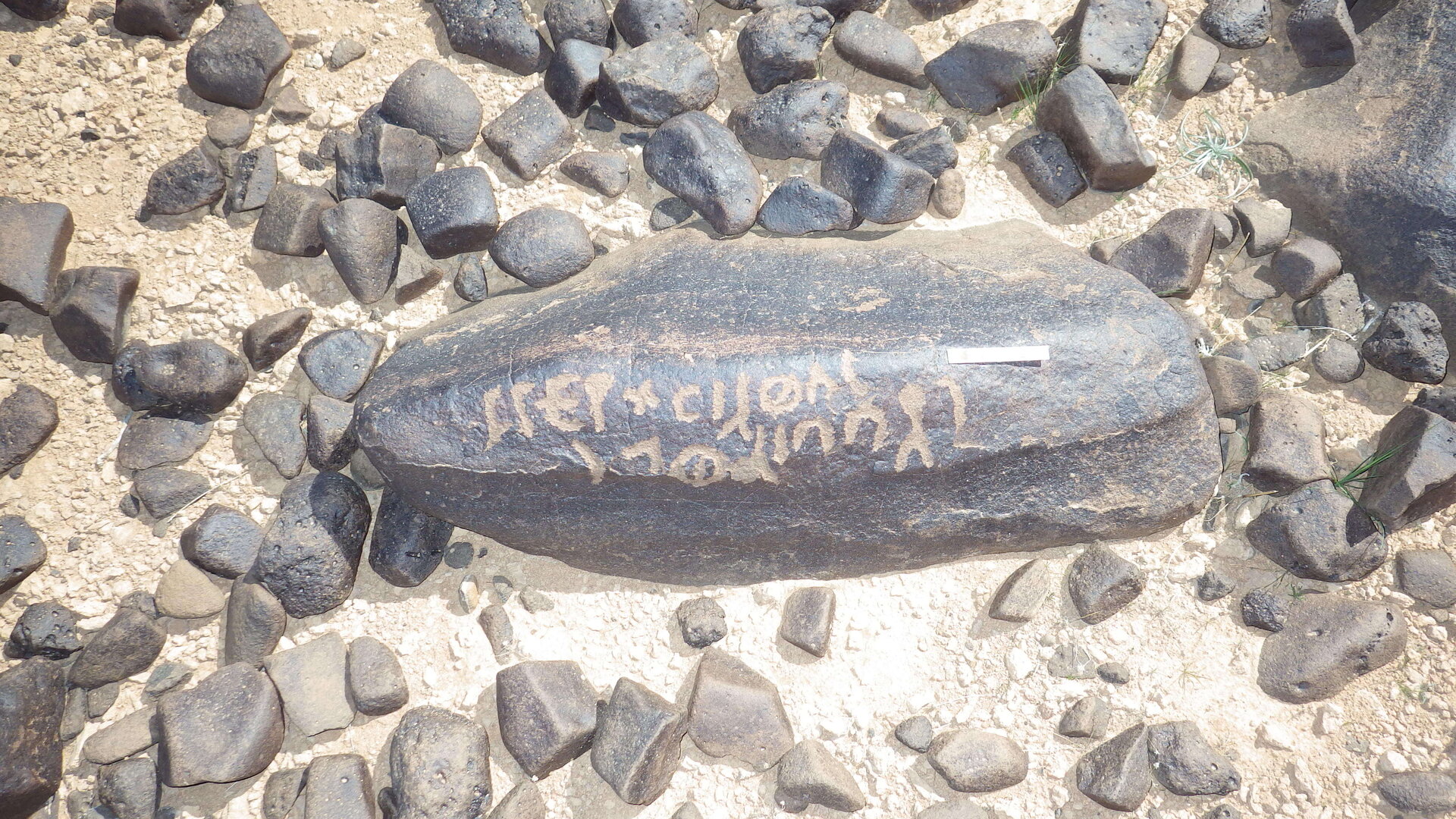 Image of siglum BES20 1246