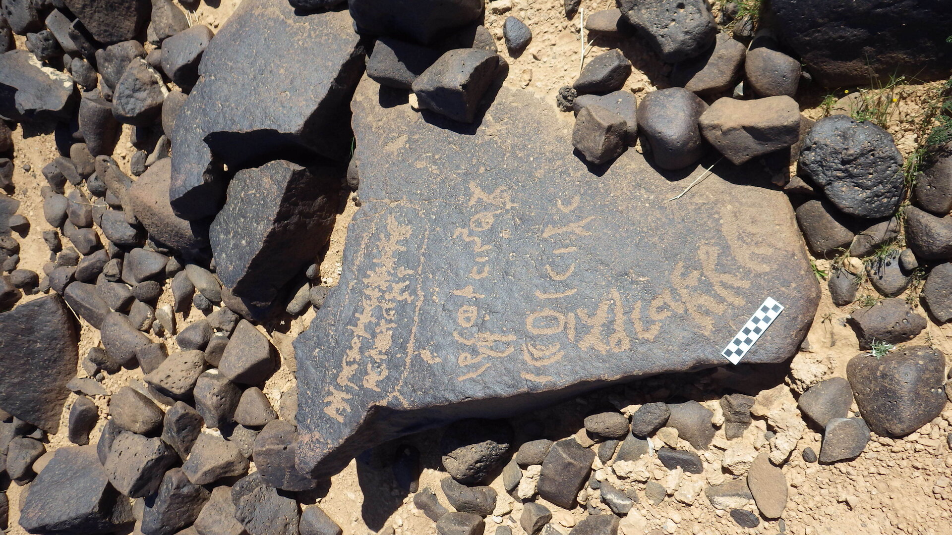 Image of siglum BES20 1246