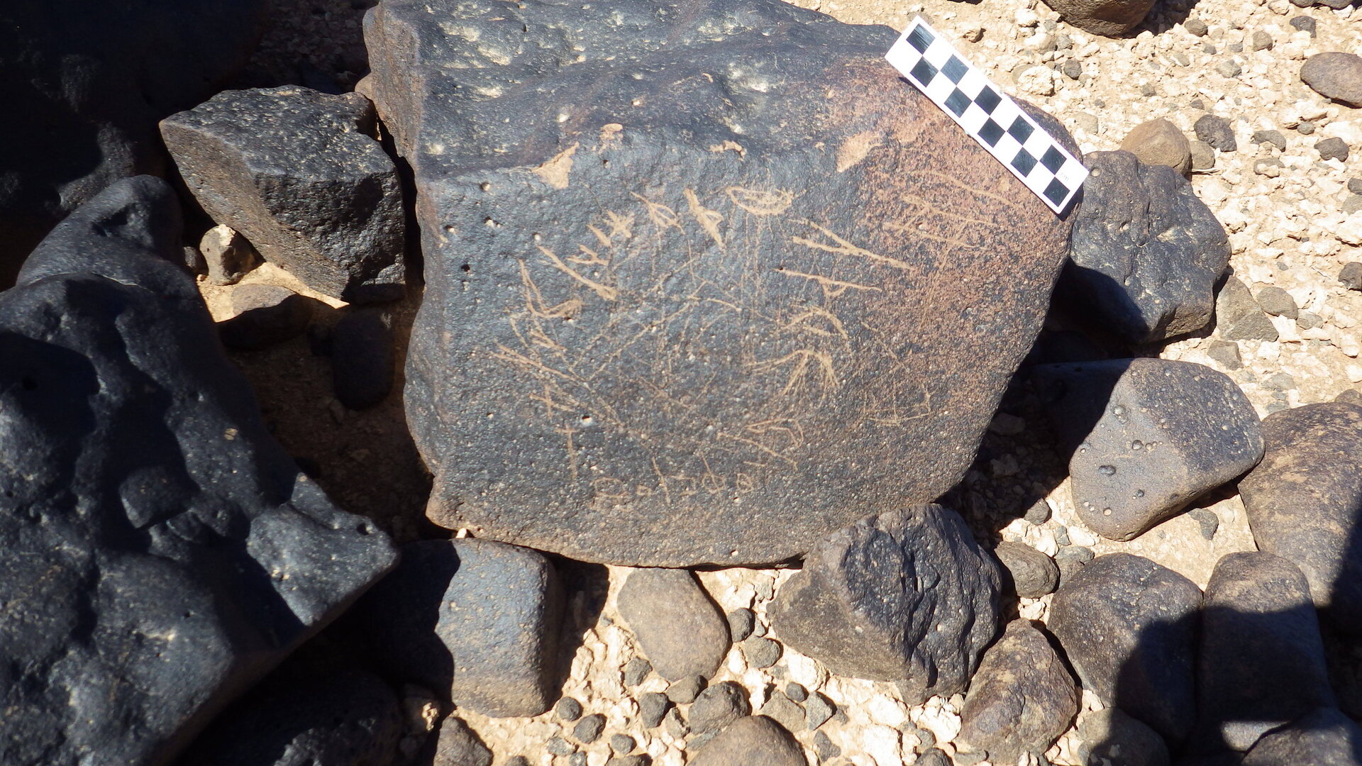Image of siglum BES20 1246