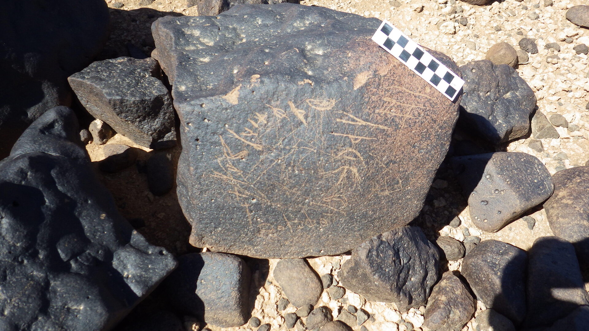 Image of siglum BES20 1246