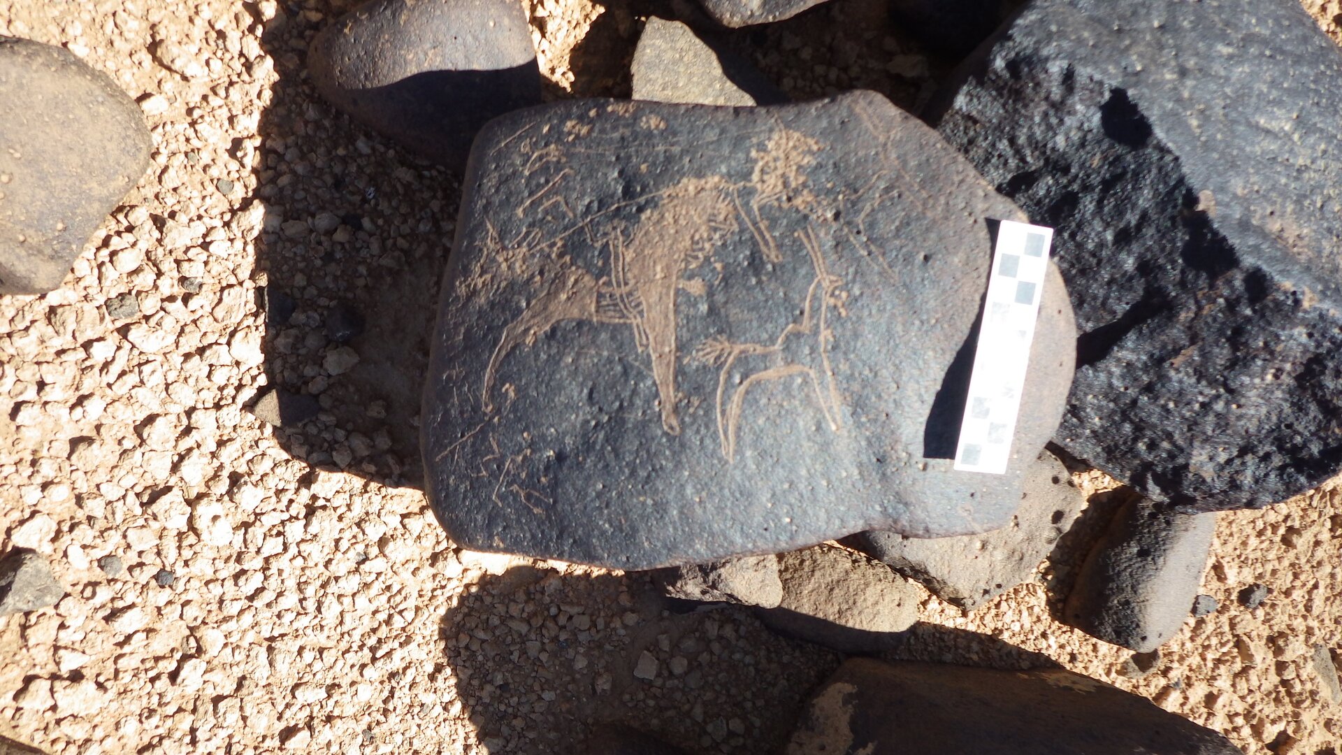 Image of siglum BES20 1246