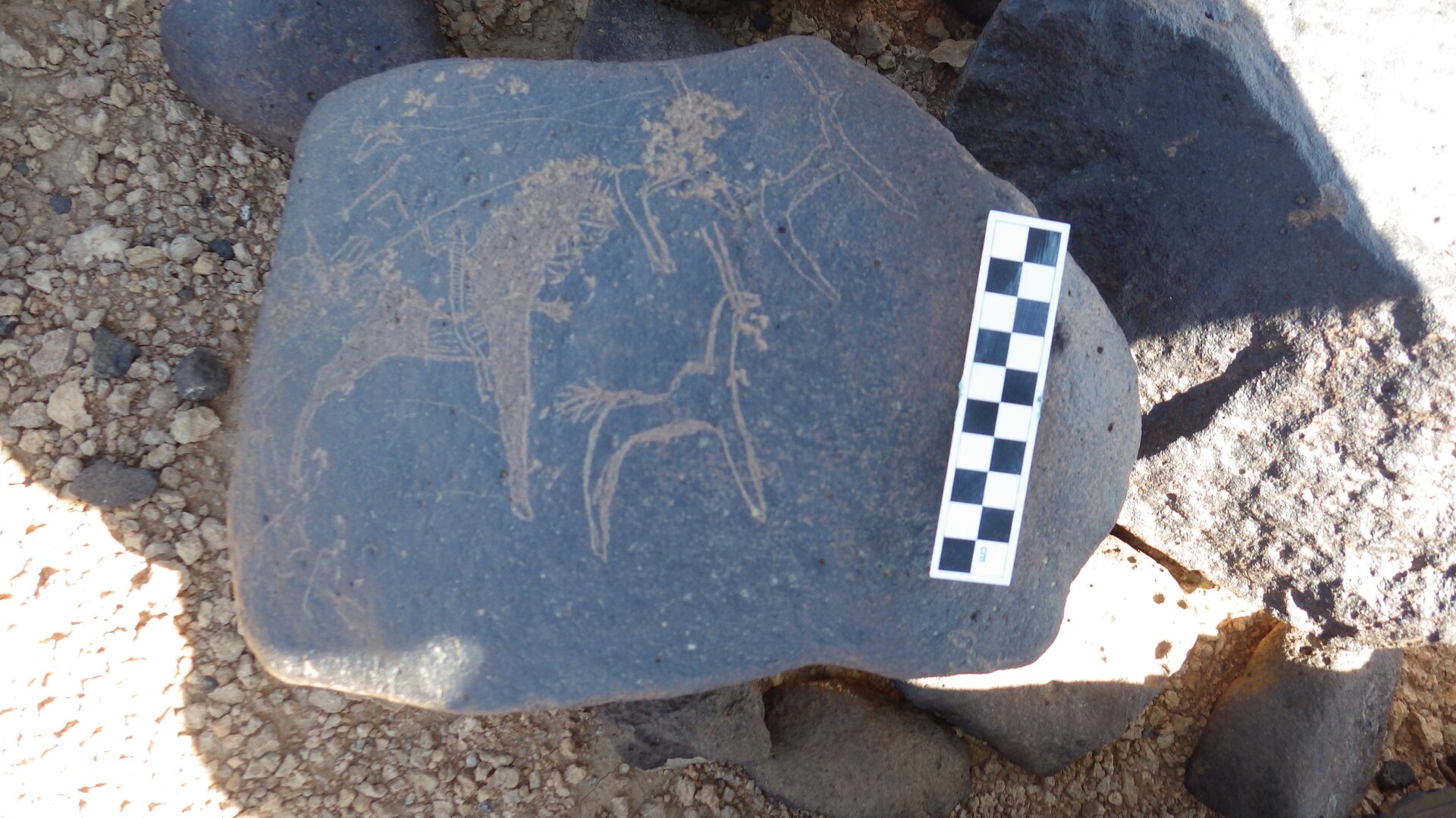 Image of siglum BES20 1246