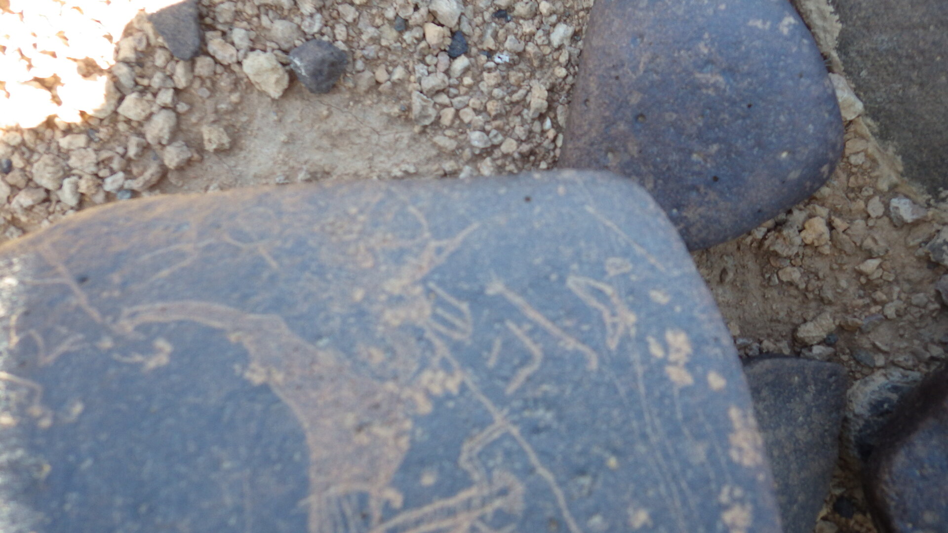 Image of siglum BES20 1246