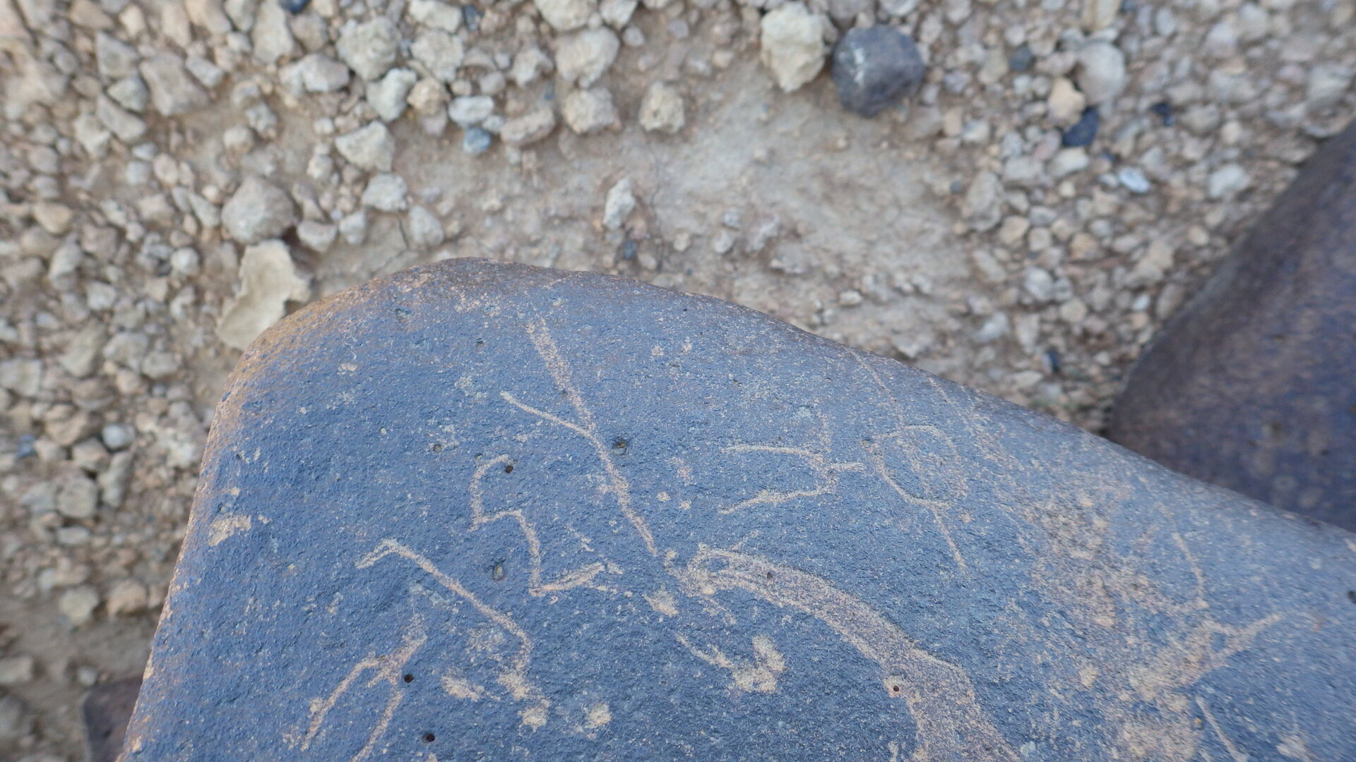 Image of siglum BES20 1246
