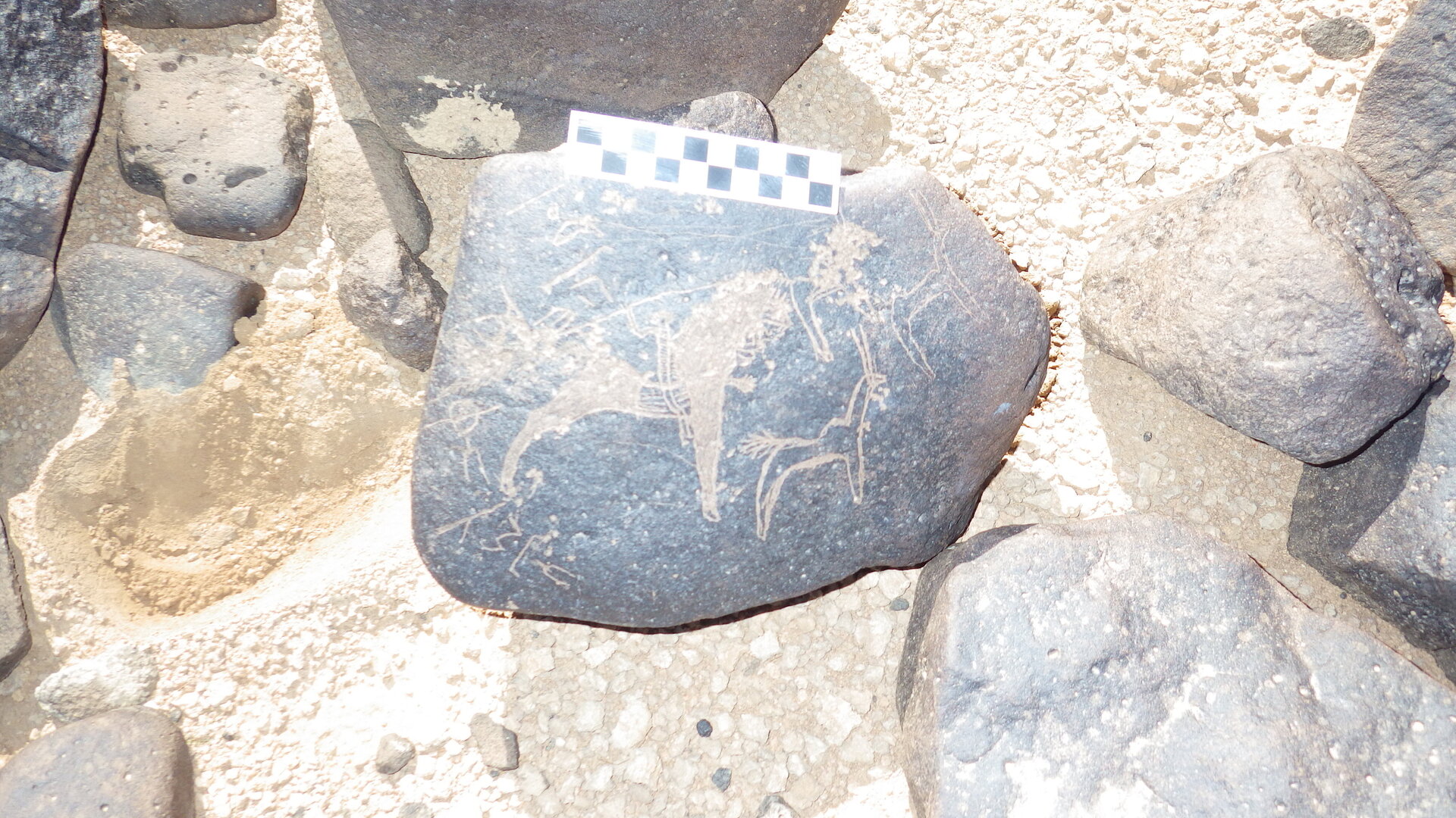 Image of siglum BES20 1246
