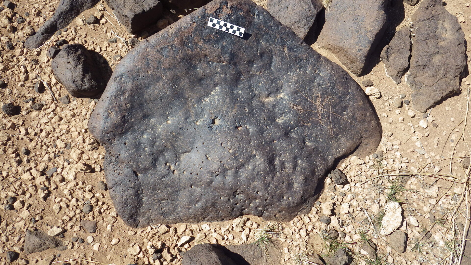 Image of siglum BES20 1246