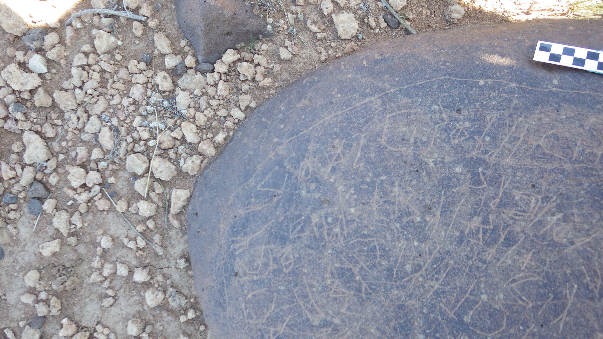 Image of siglum BES20 1246