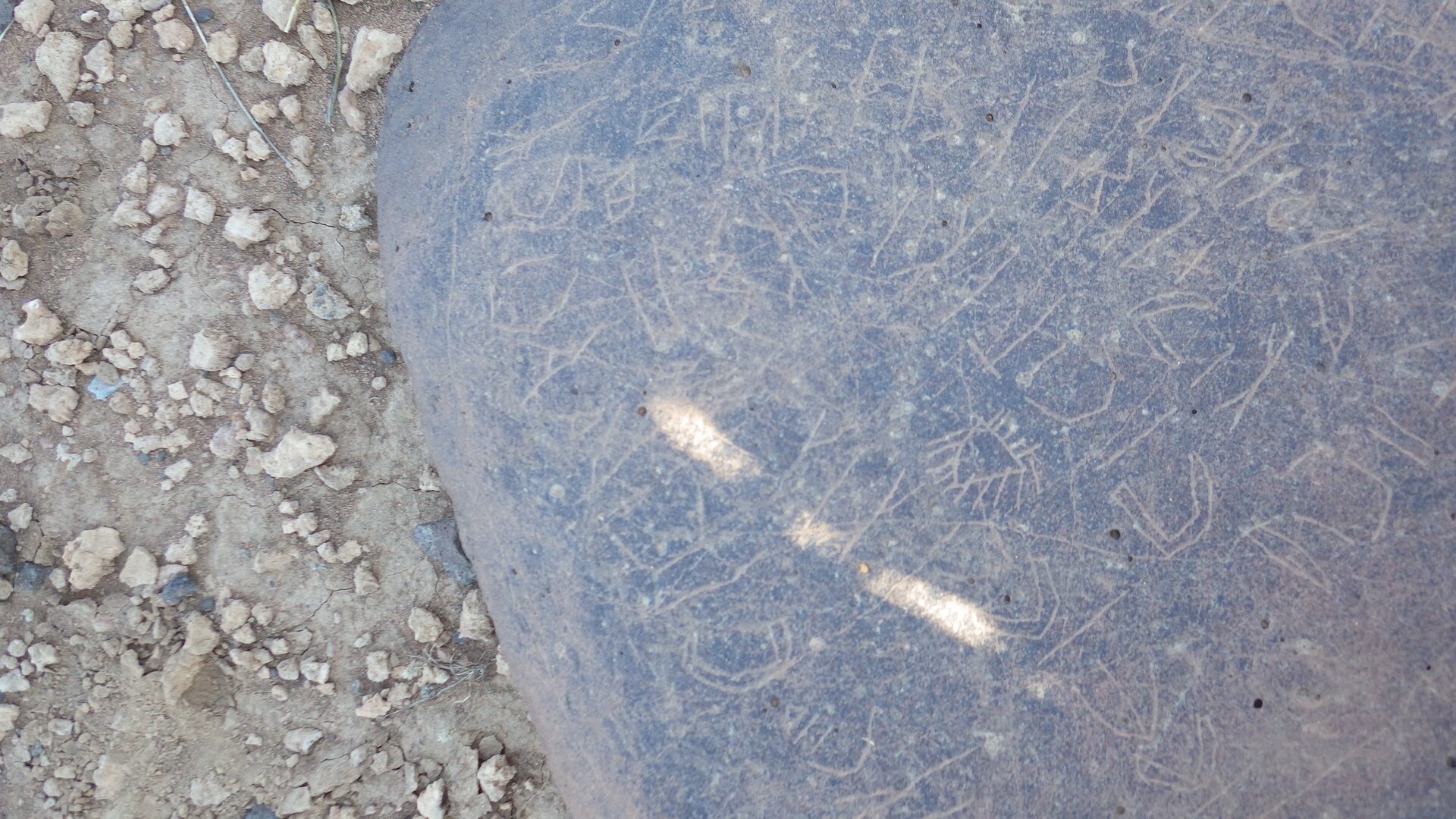 Image of siglum BES20 1246
