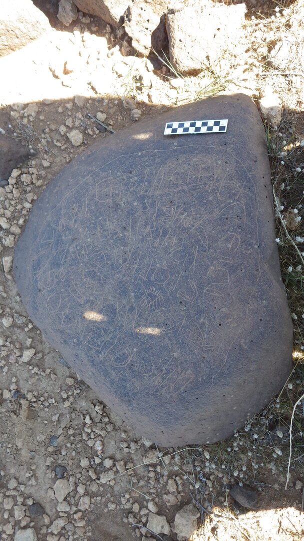 Image of siglum BES20 1246