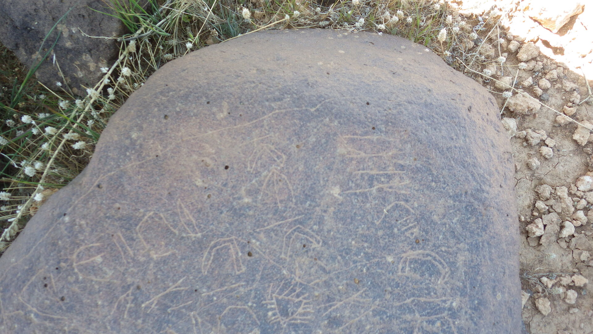 Image of siglum BES20 1246