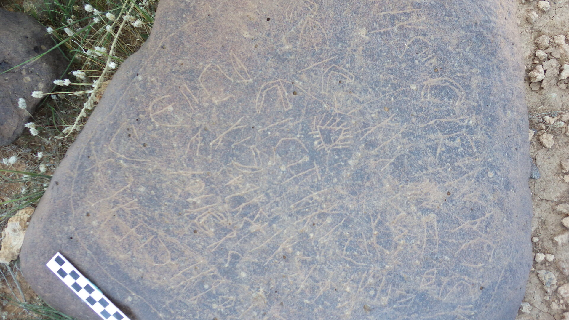 Image of siglum BES20 1246