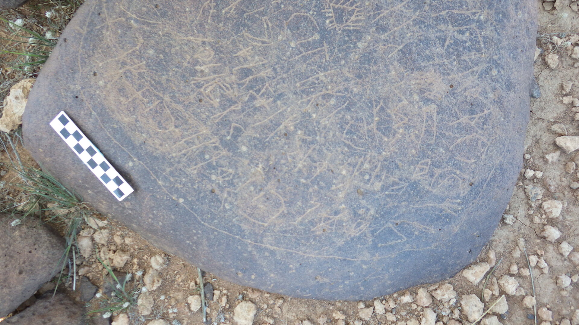 Image of siglum BES20 1246