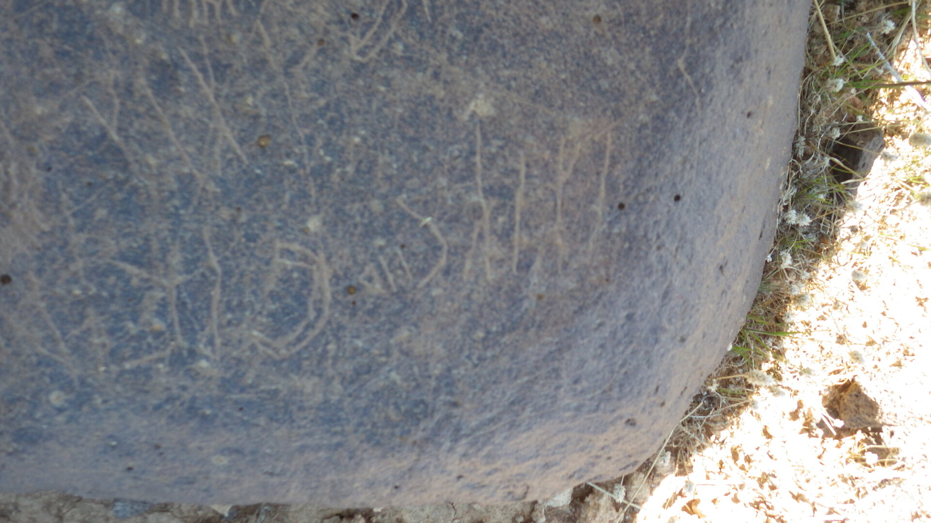 Image of siglum BES20 1246