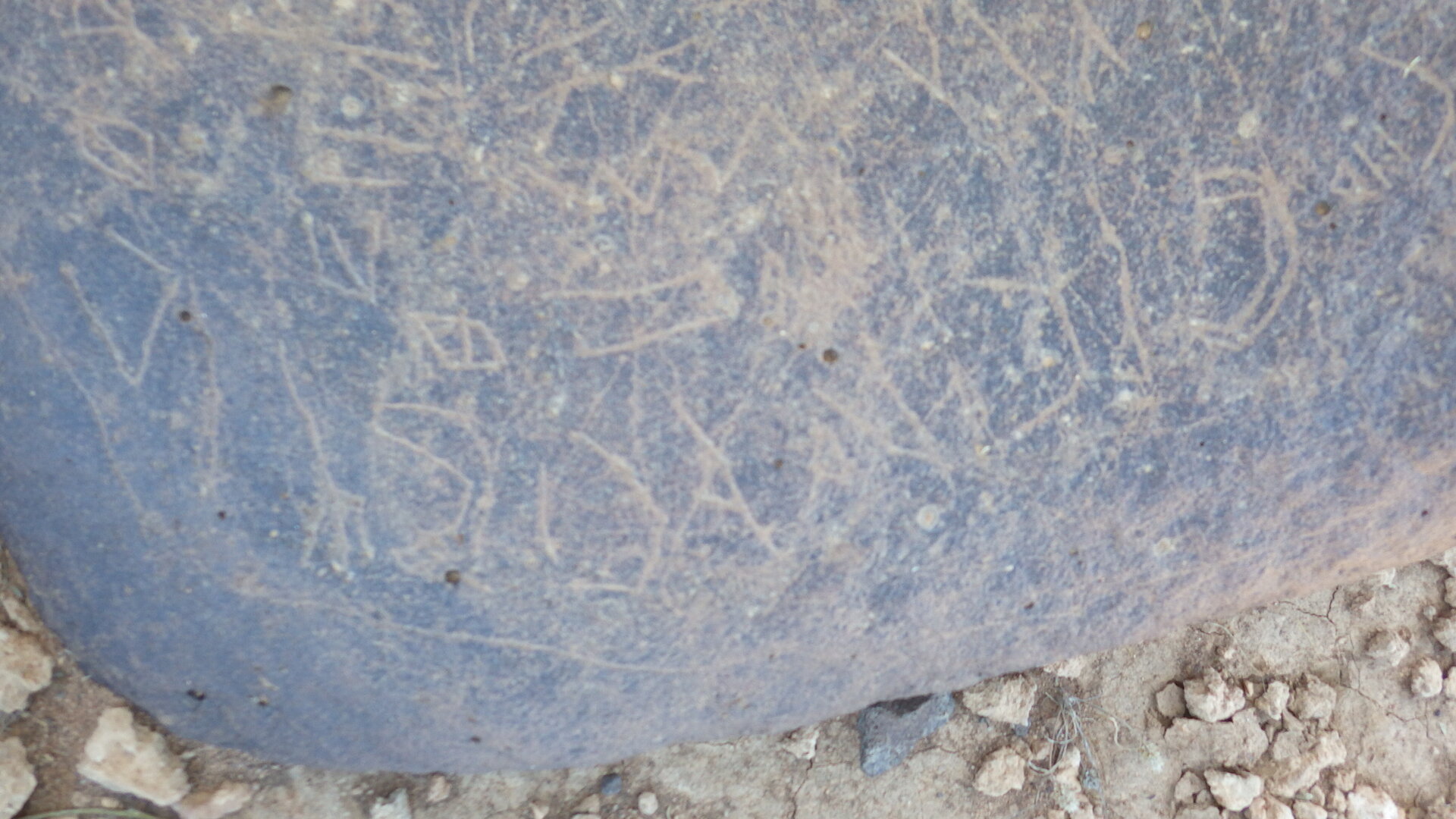 Image of siglum BES20 1246
