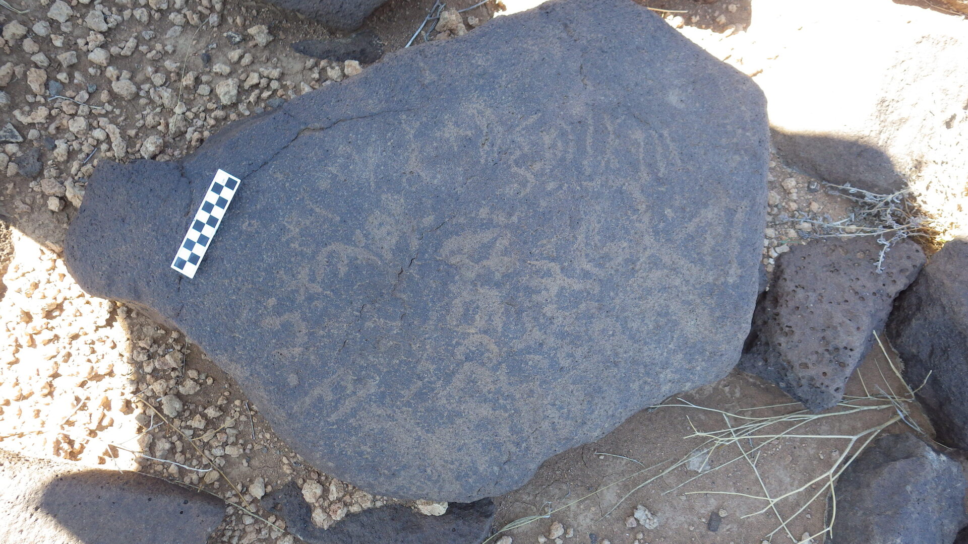 Image of siglum BES20 1246