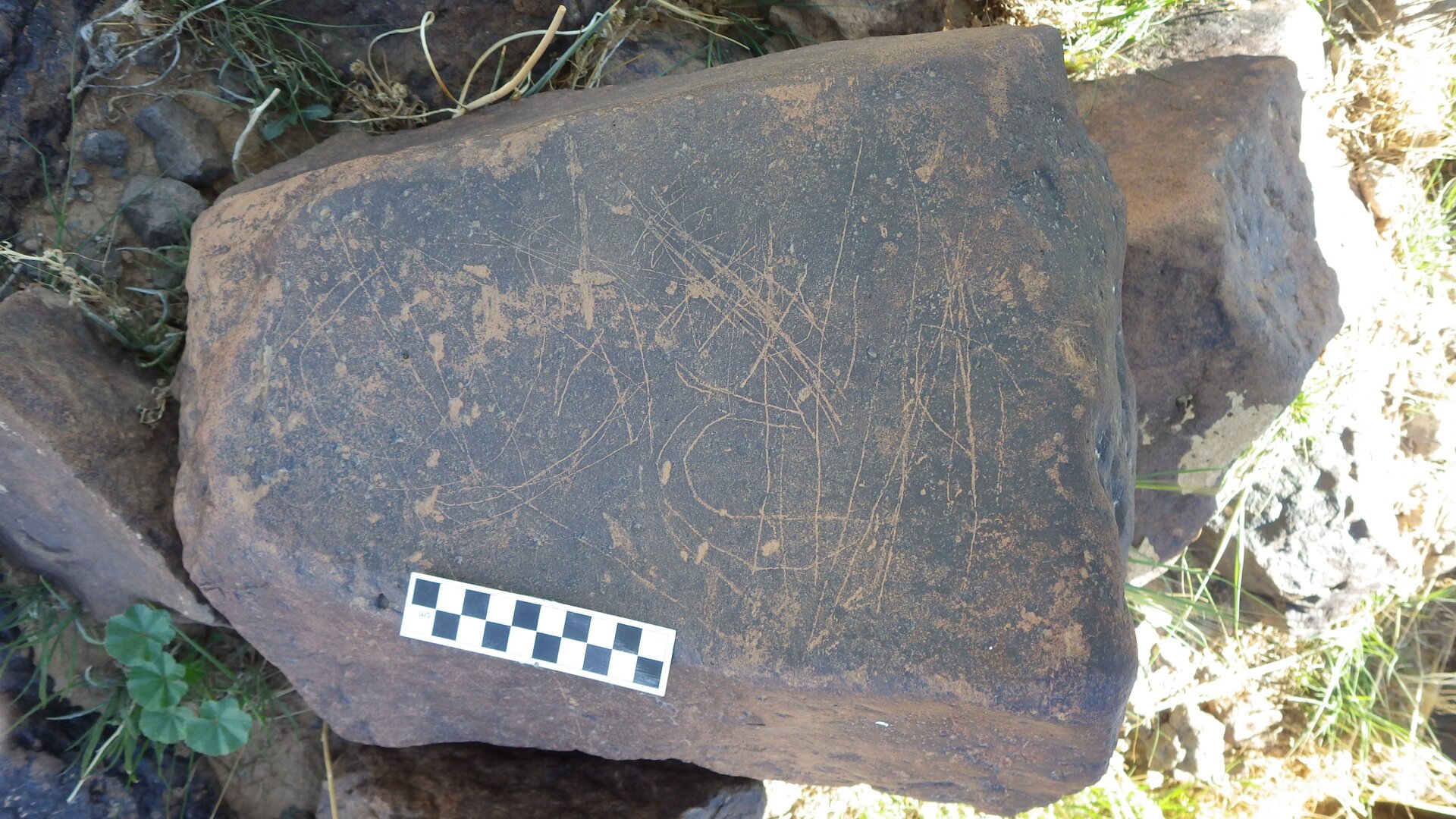 Image of siglum BES20 1246