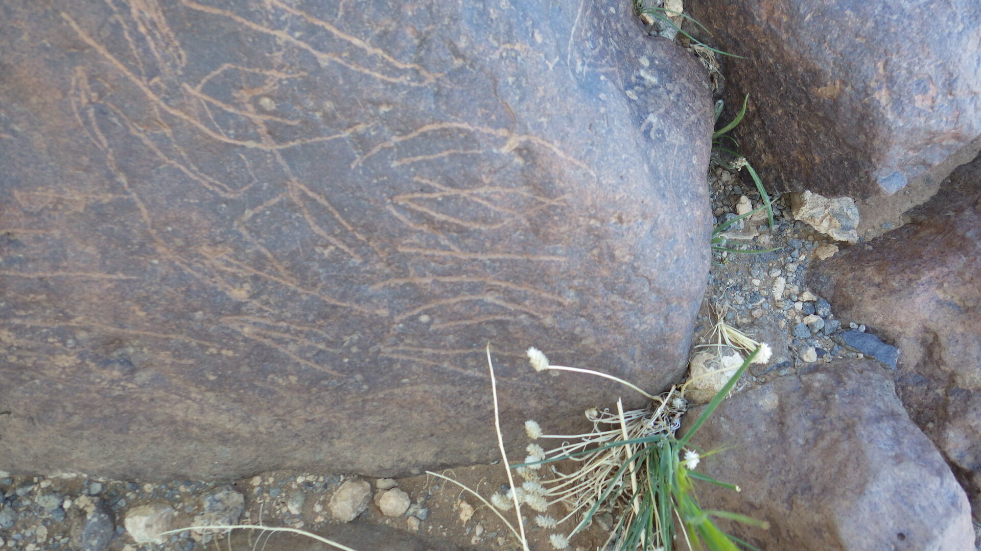 Image of siglum BES20 1246