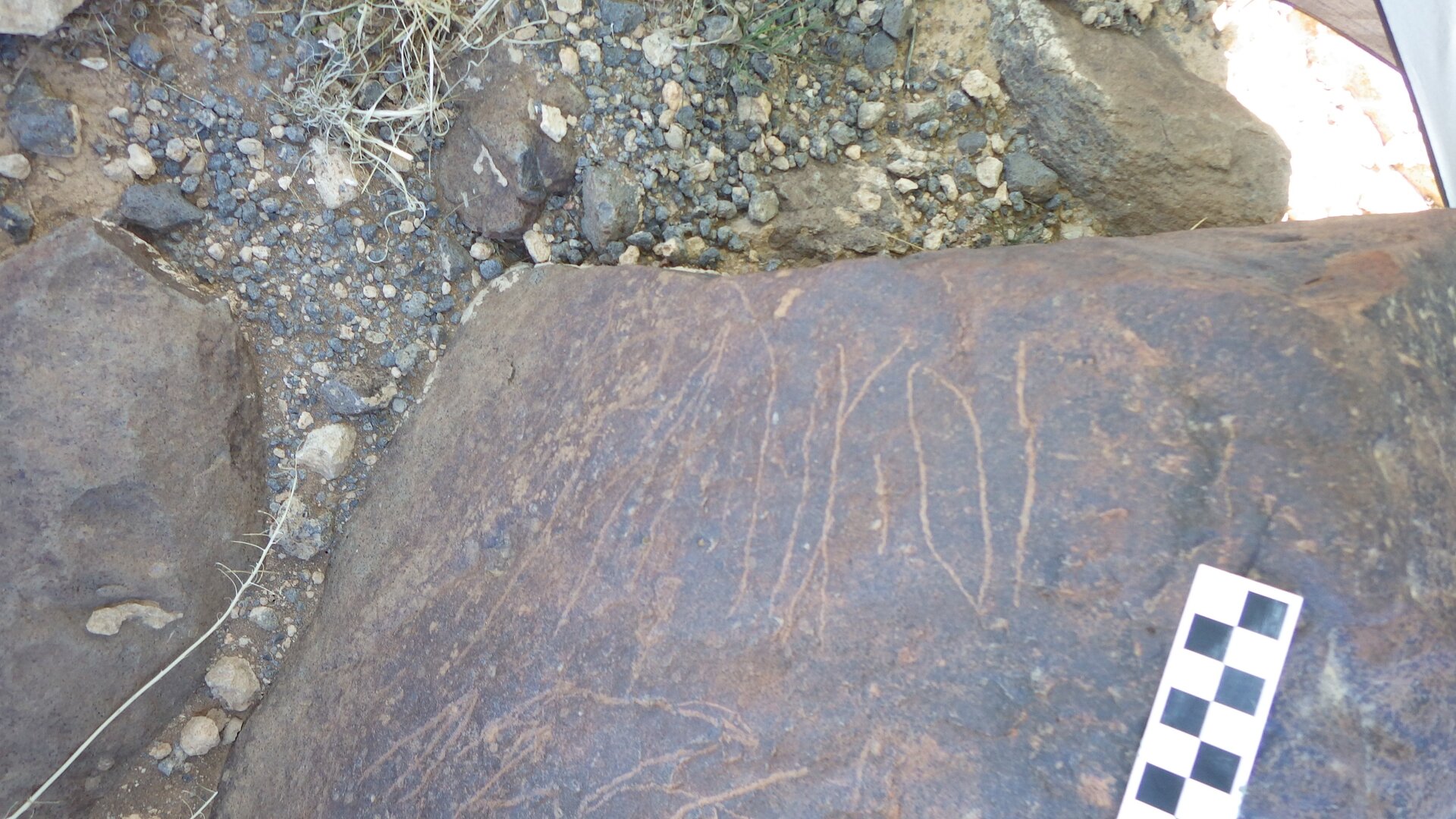 Image of siglum BES20 1246