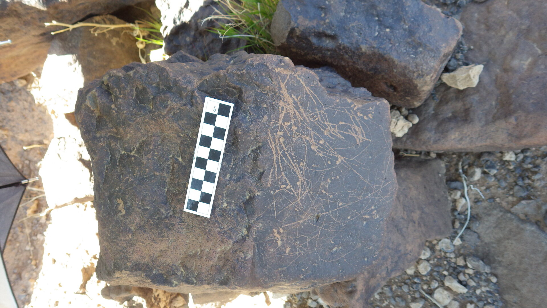 Image of siglum BES20 1246