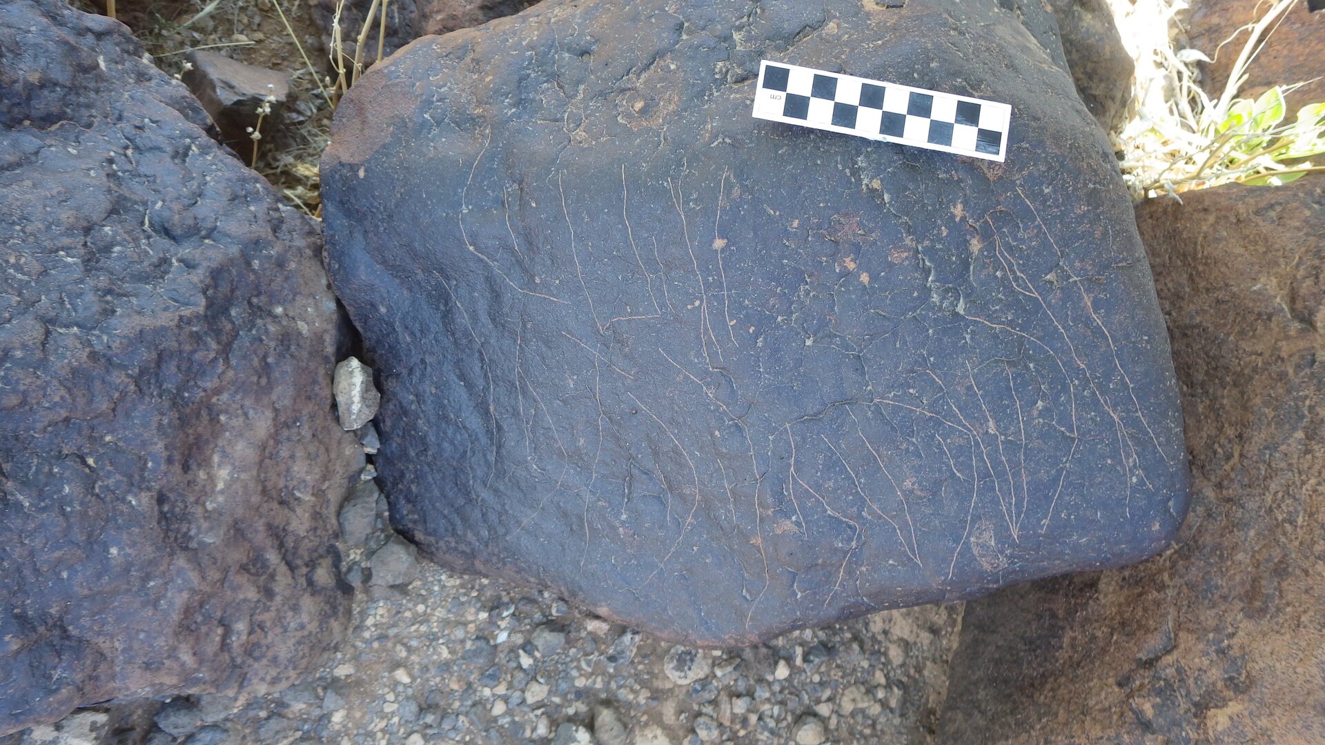Image of siglum BES20 1246