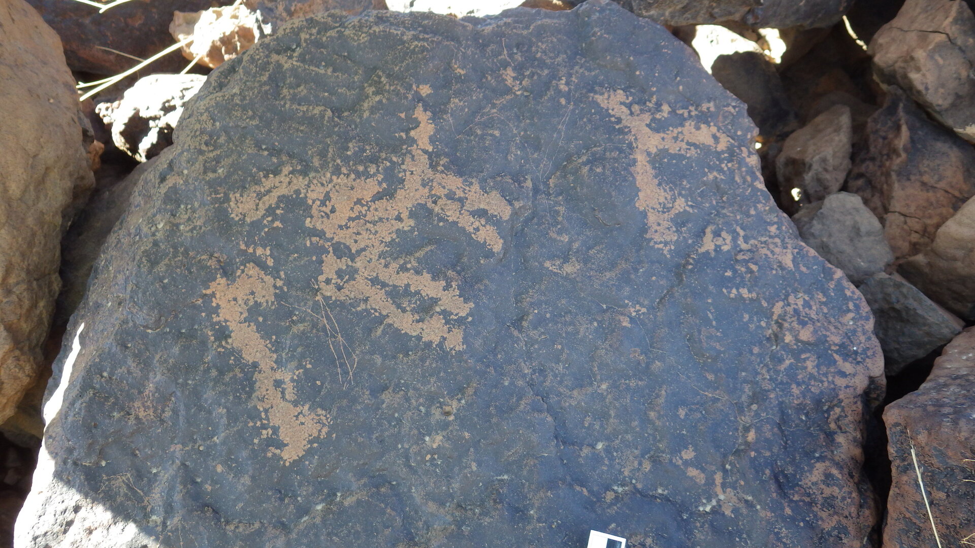 Image of siglum BES20 1246