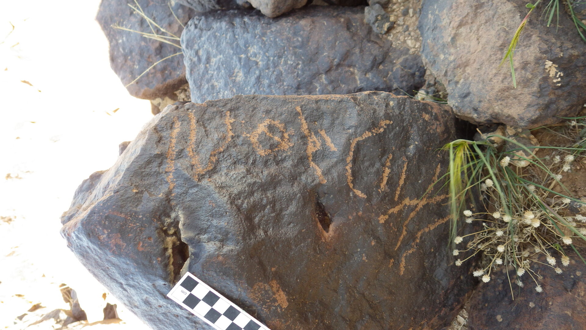 Image of siglum BES20 1246