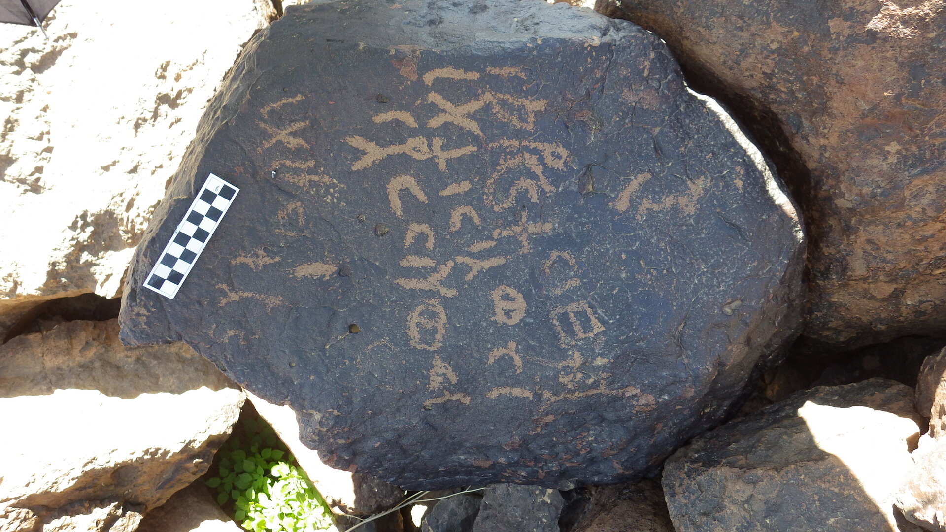 Image of siglum BES20 1246