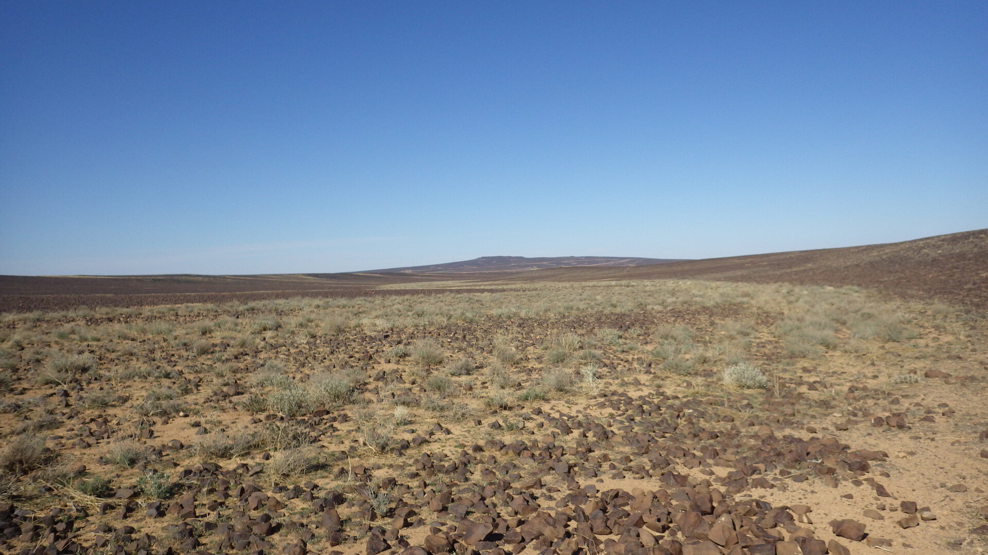 Image of siglum BES20 1246