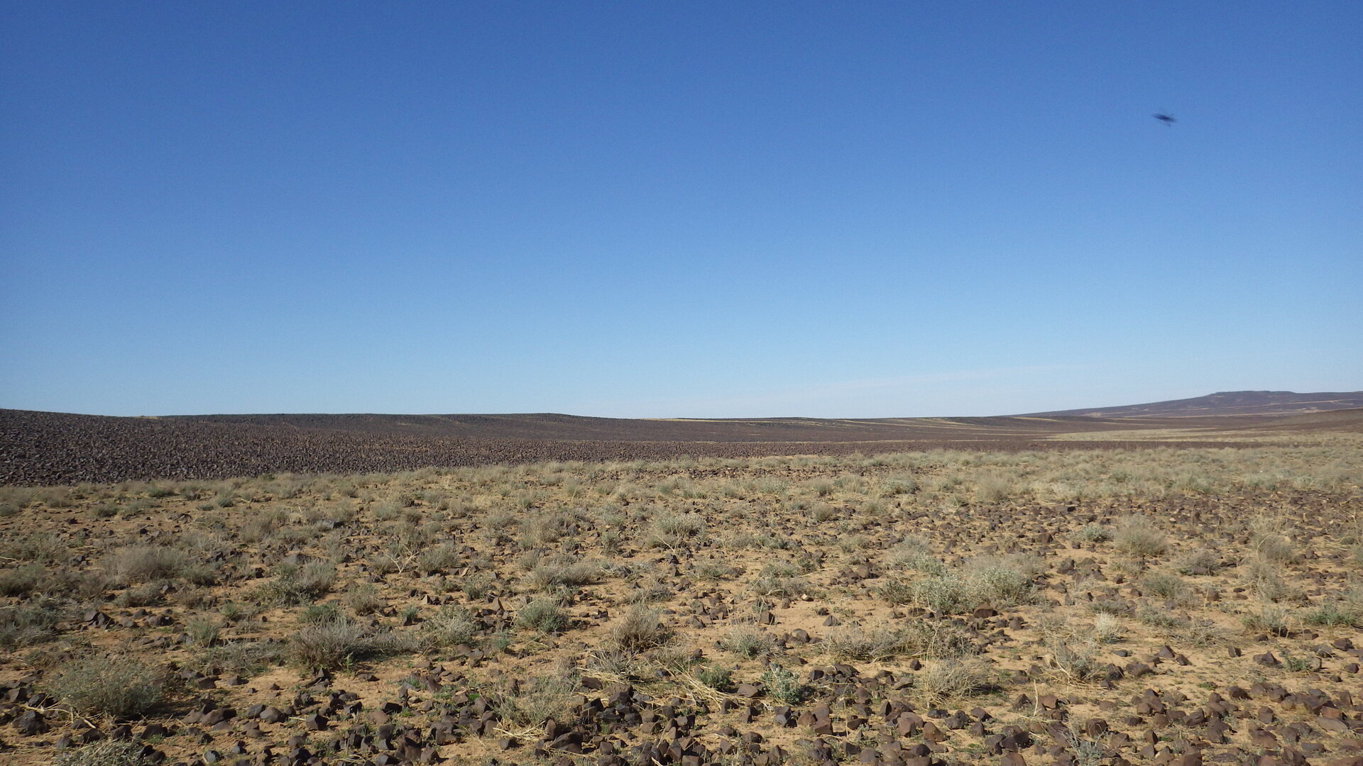 Image of siglum BES20 1246