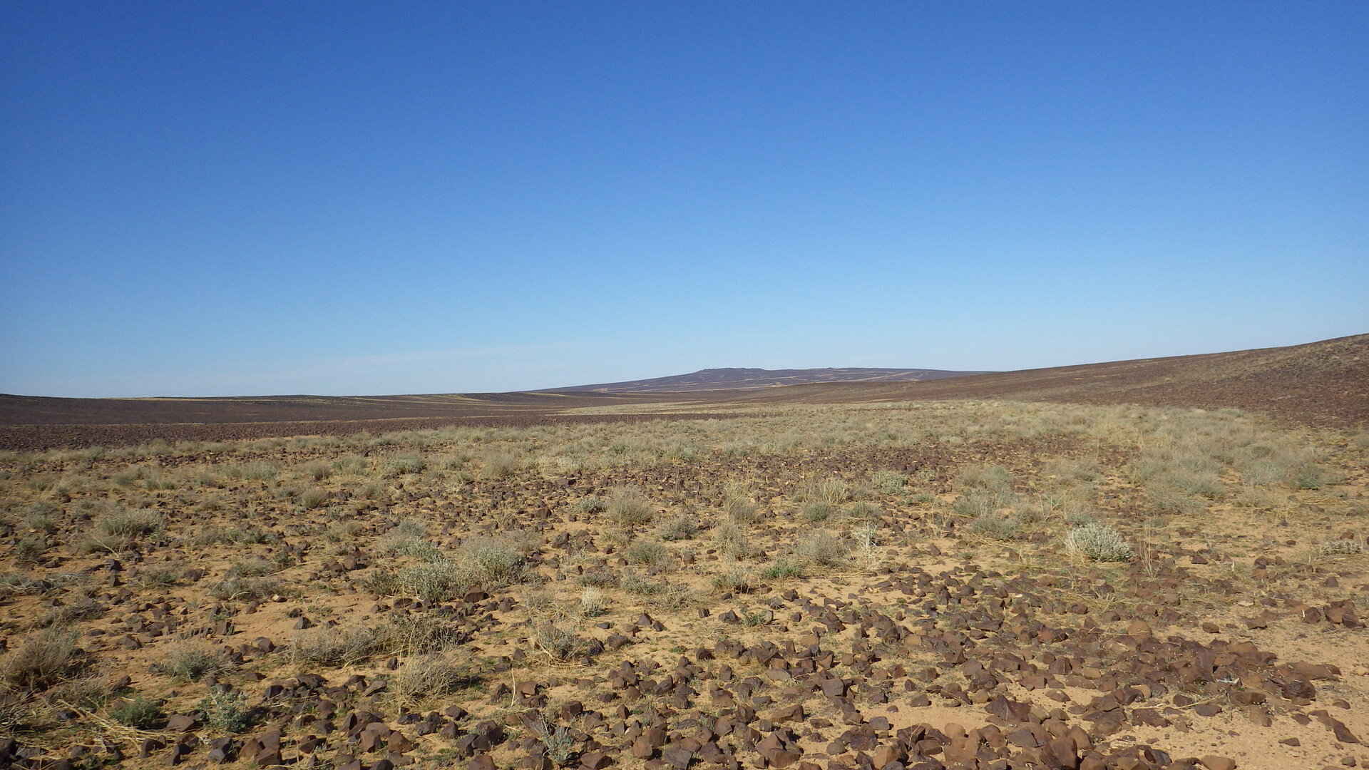 Image of siglum BES20 1246