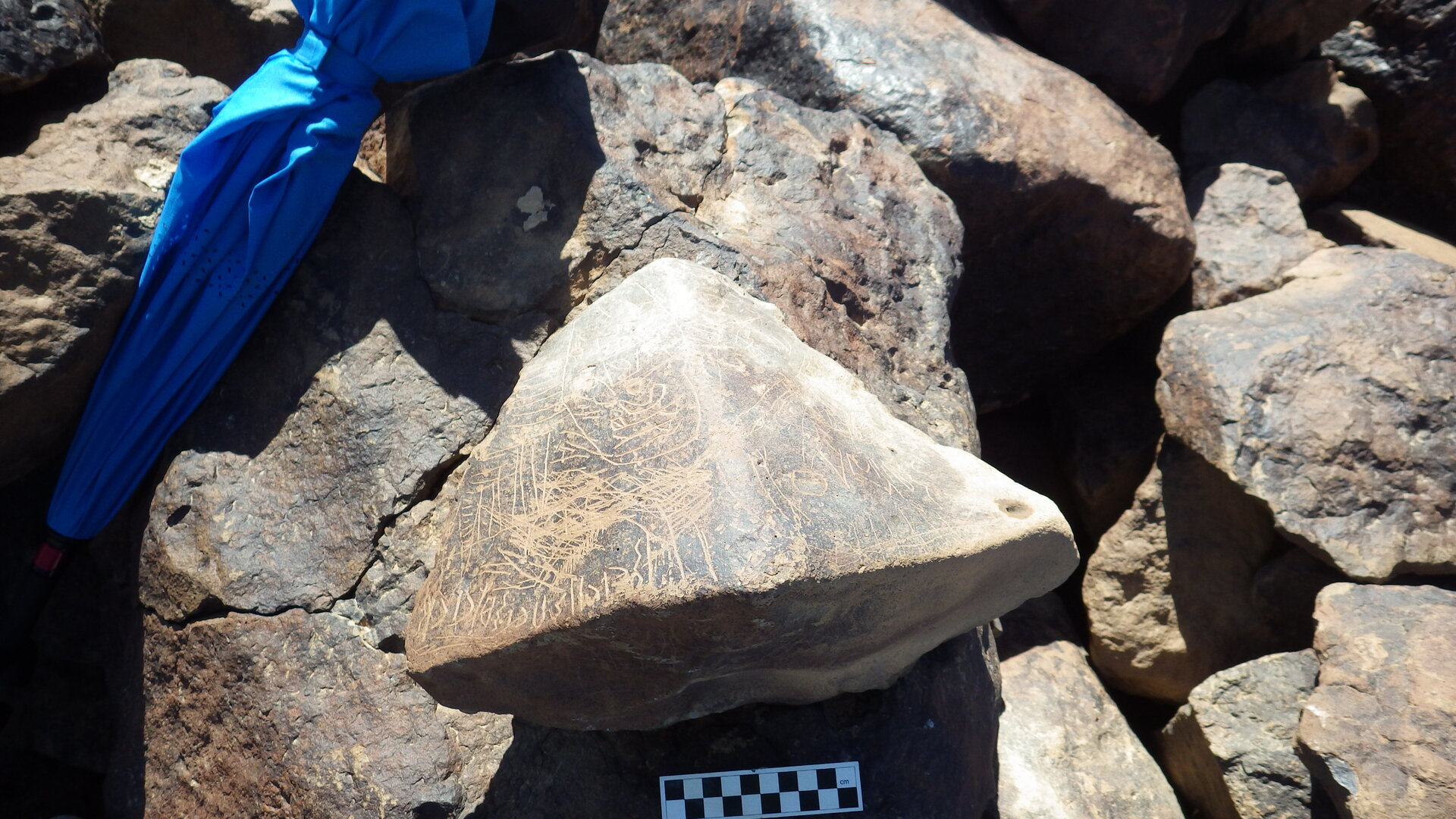 Image of siglum BES20 1246