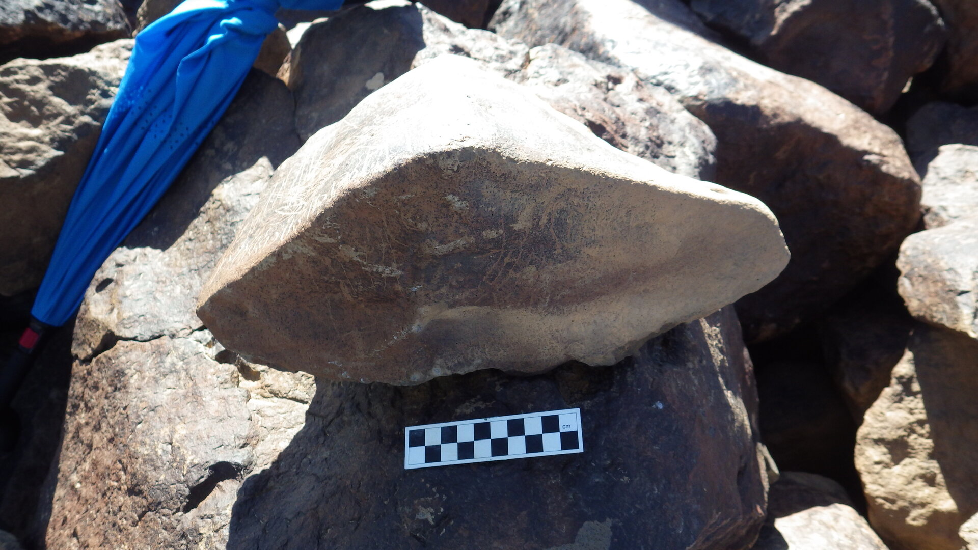 Image of siglum BES20 1246