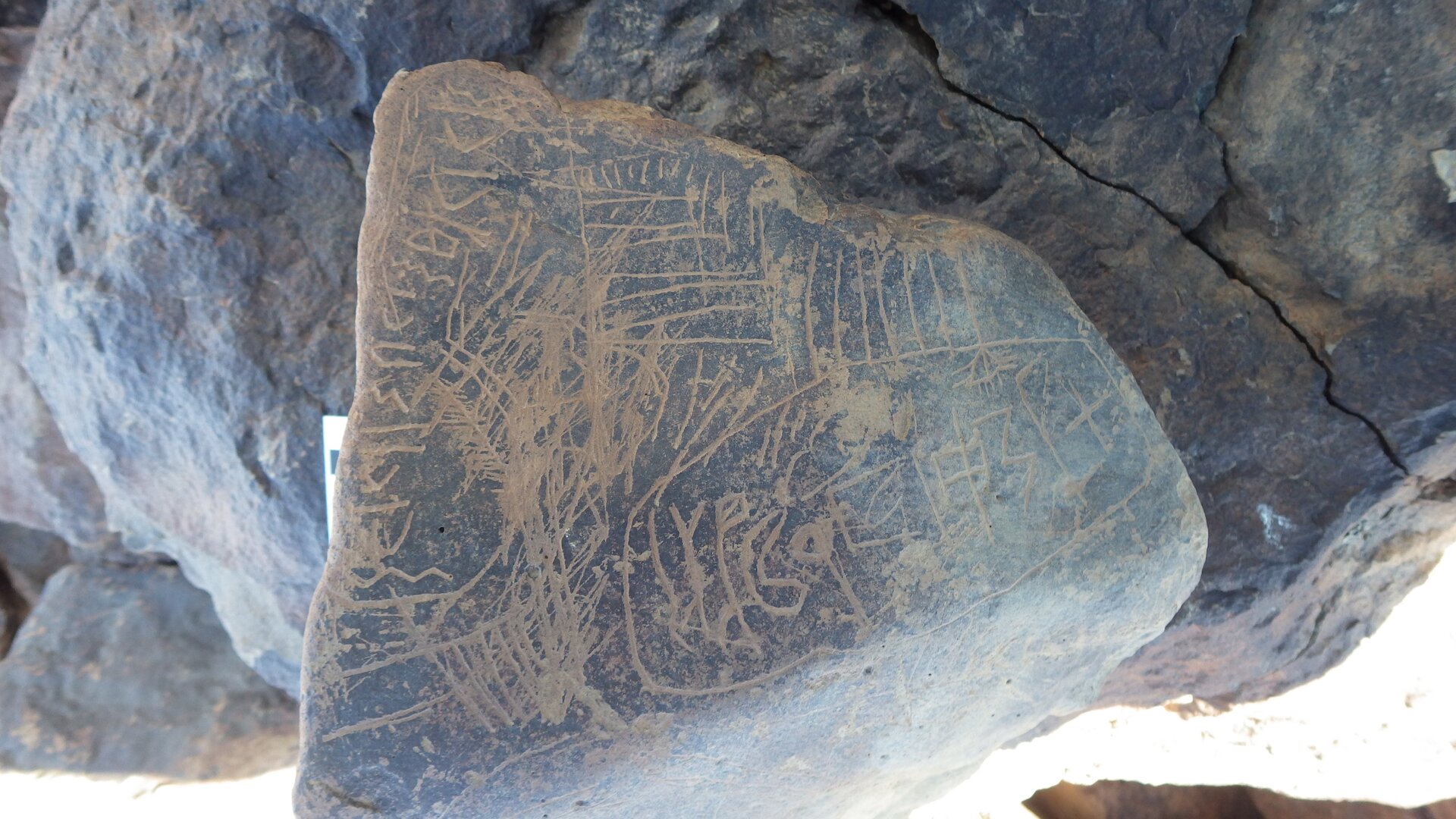 Image of siglum BES20 1246