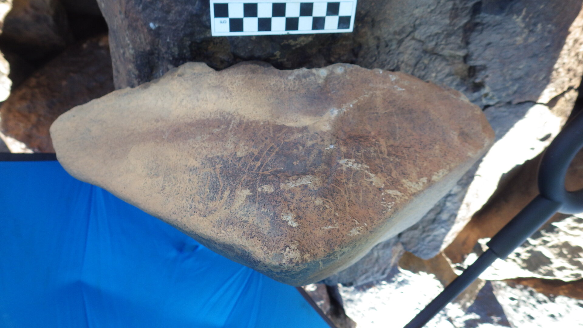 Image of siglum BES20 1246