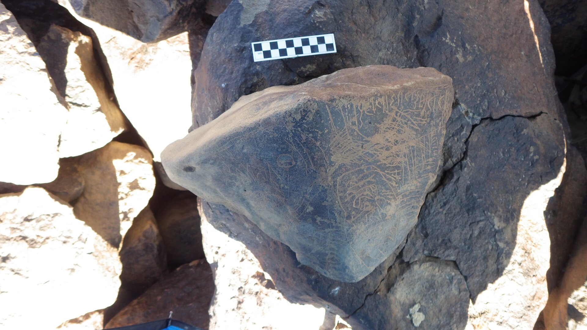 Image of siglum BES20 1246