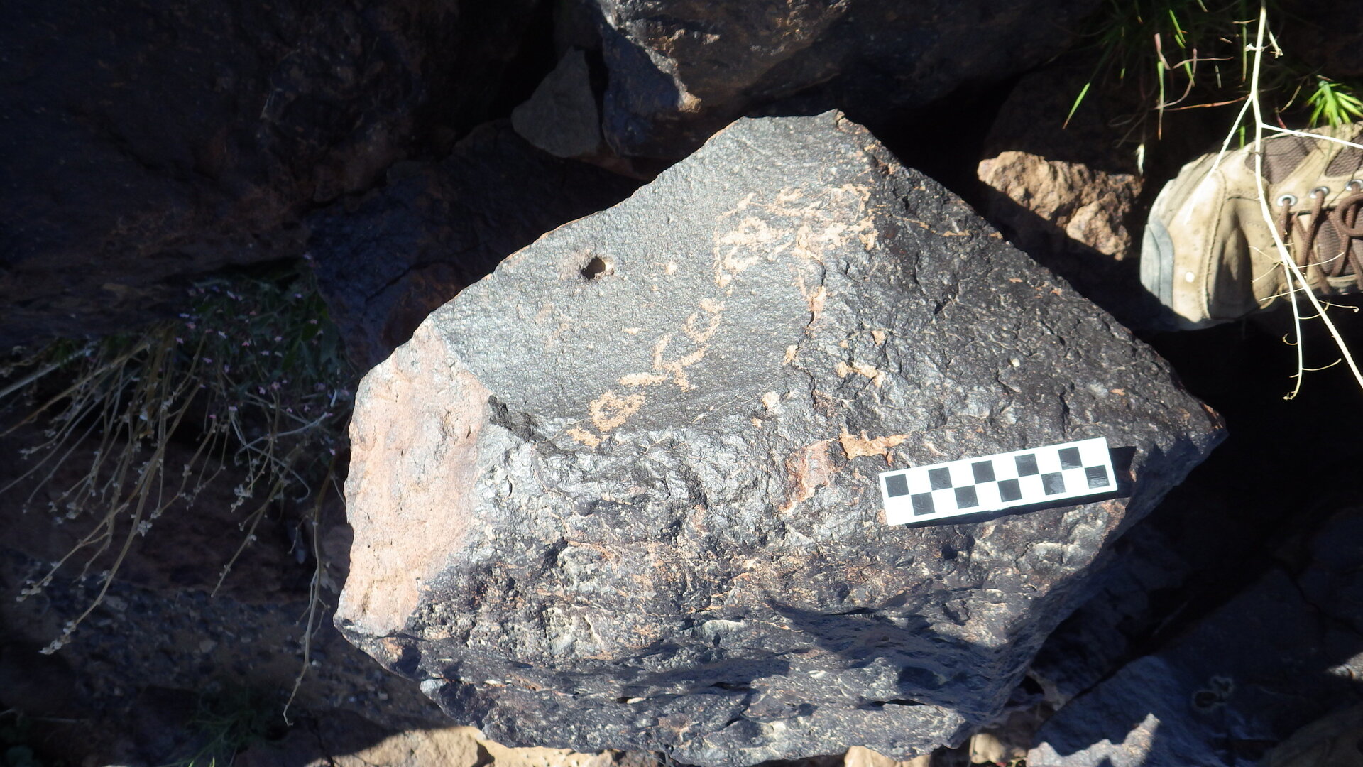 Image of siglum BES20 1246