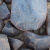 Image of siglum BES20 1246