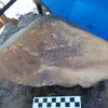 Image of siglum BES20 1246