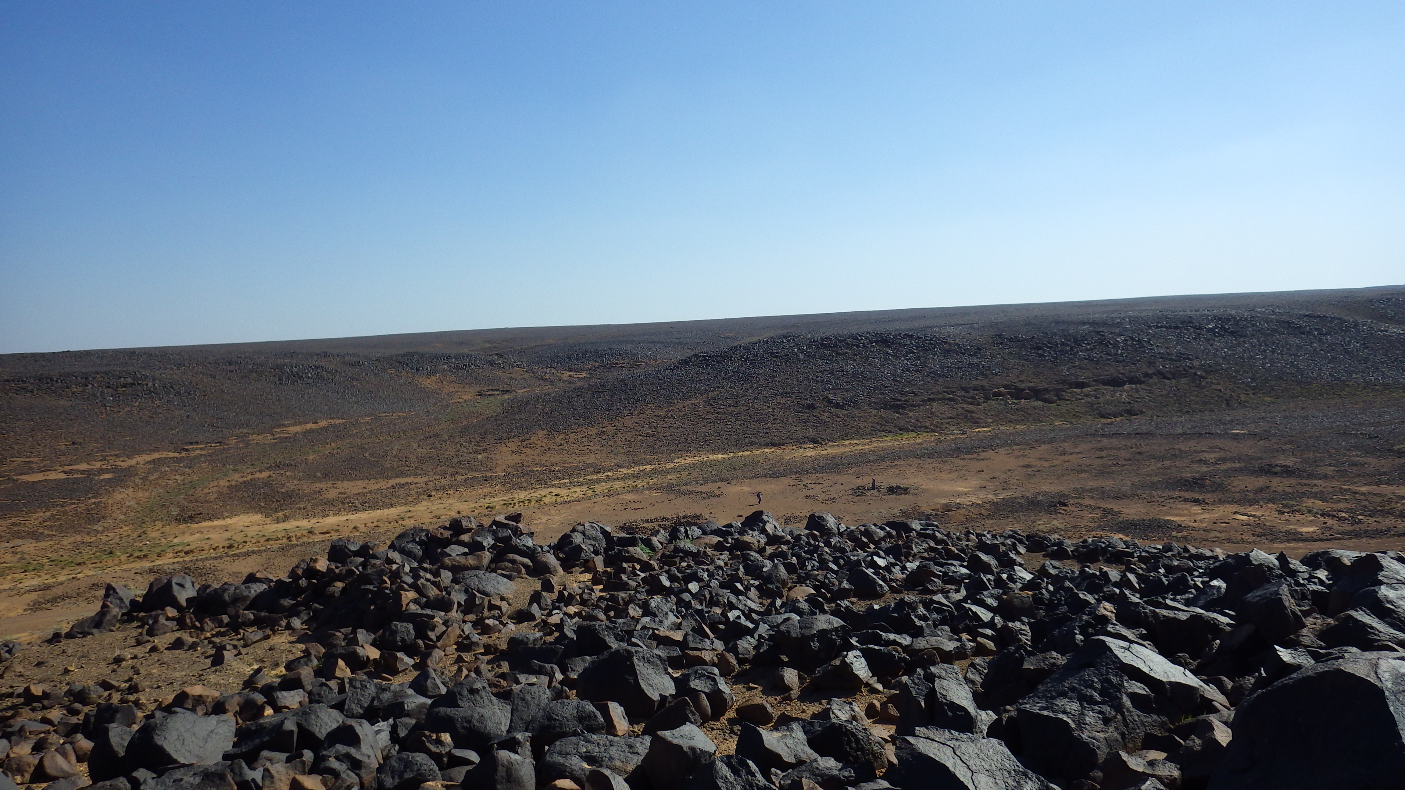 Image of siglum BES20 1248