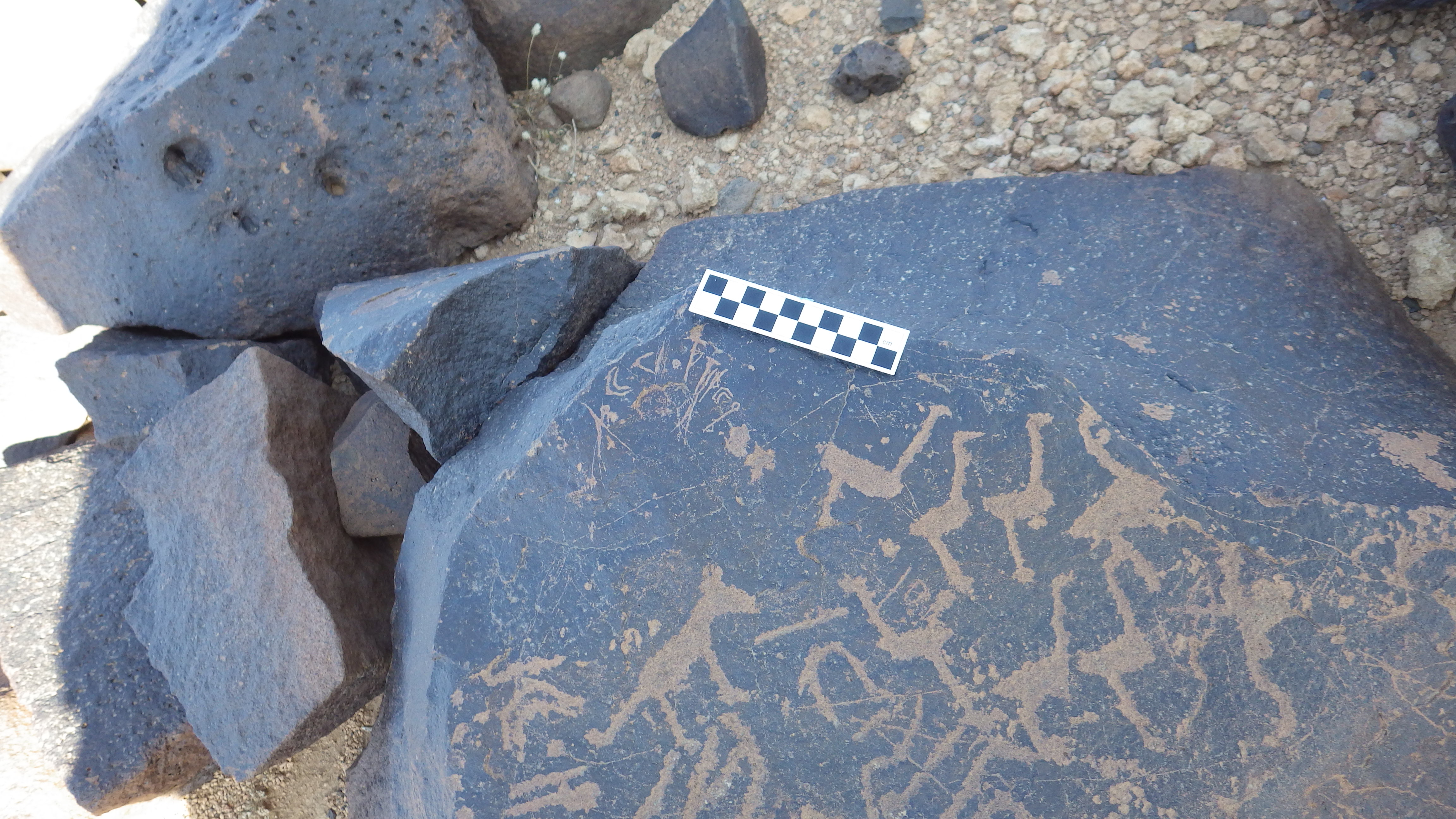 Image of siglum BES20 1248