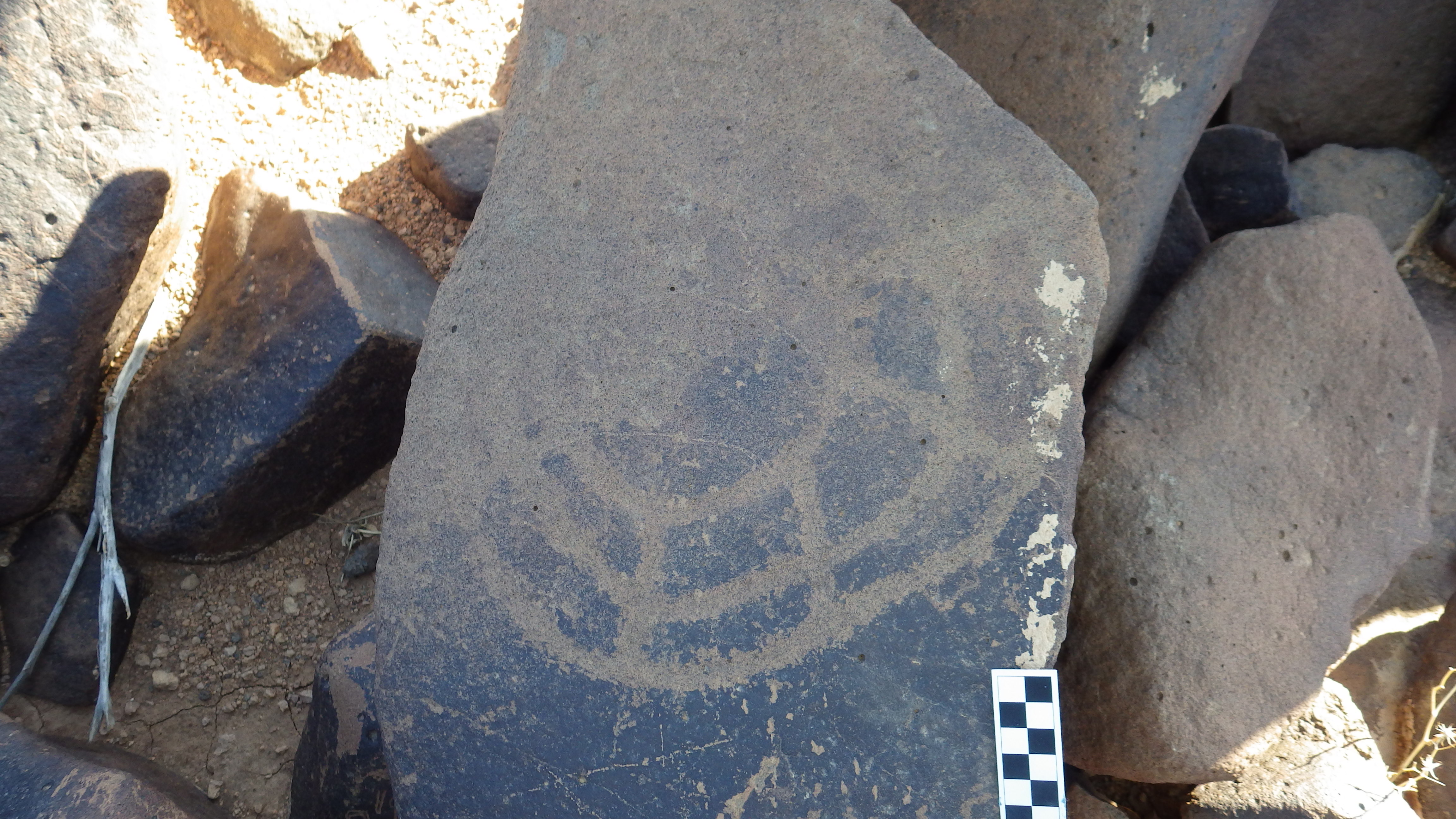 Image of siglum BES20 1248
